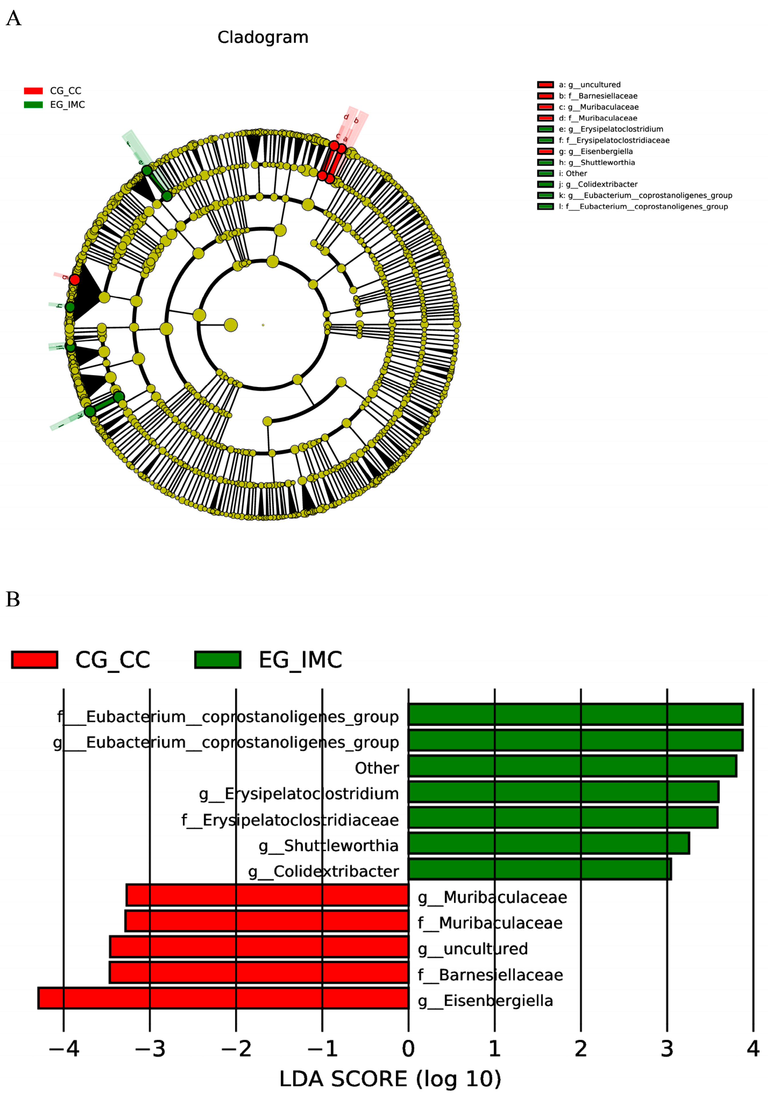 Microorganisms 12 02218 g006