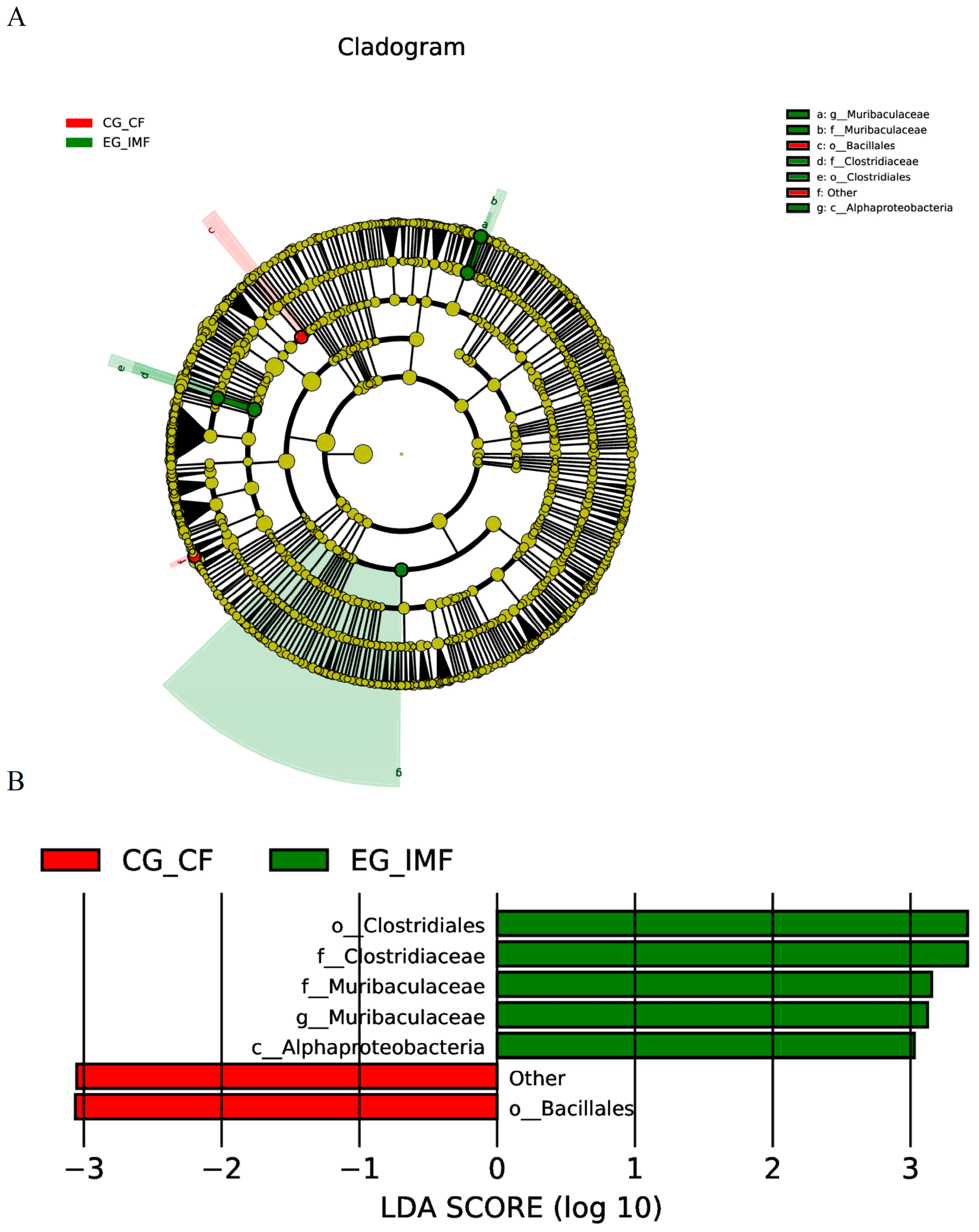 Microorganisms 12 02218 g007