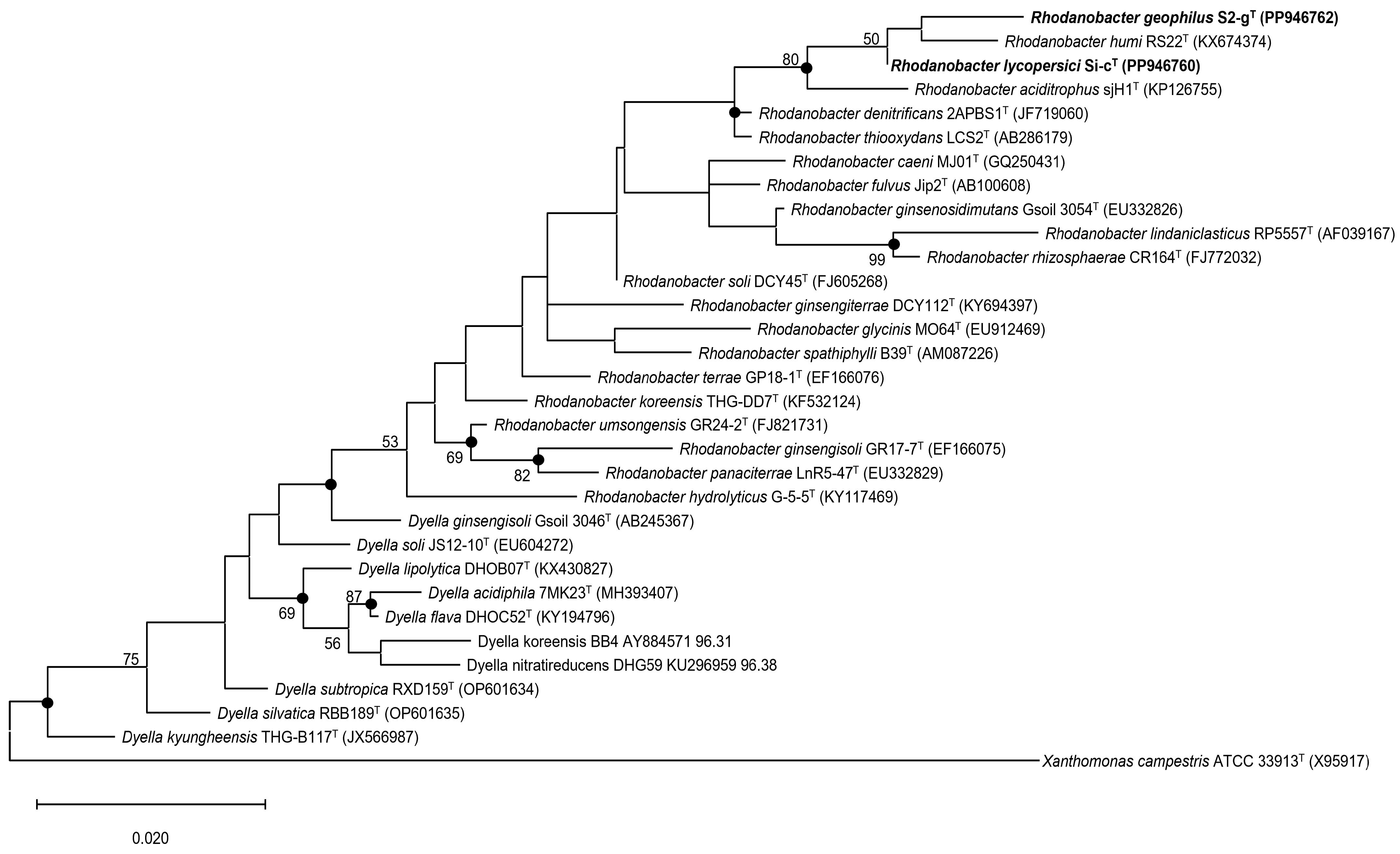 Microorganisms 12 02227 g001