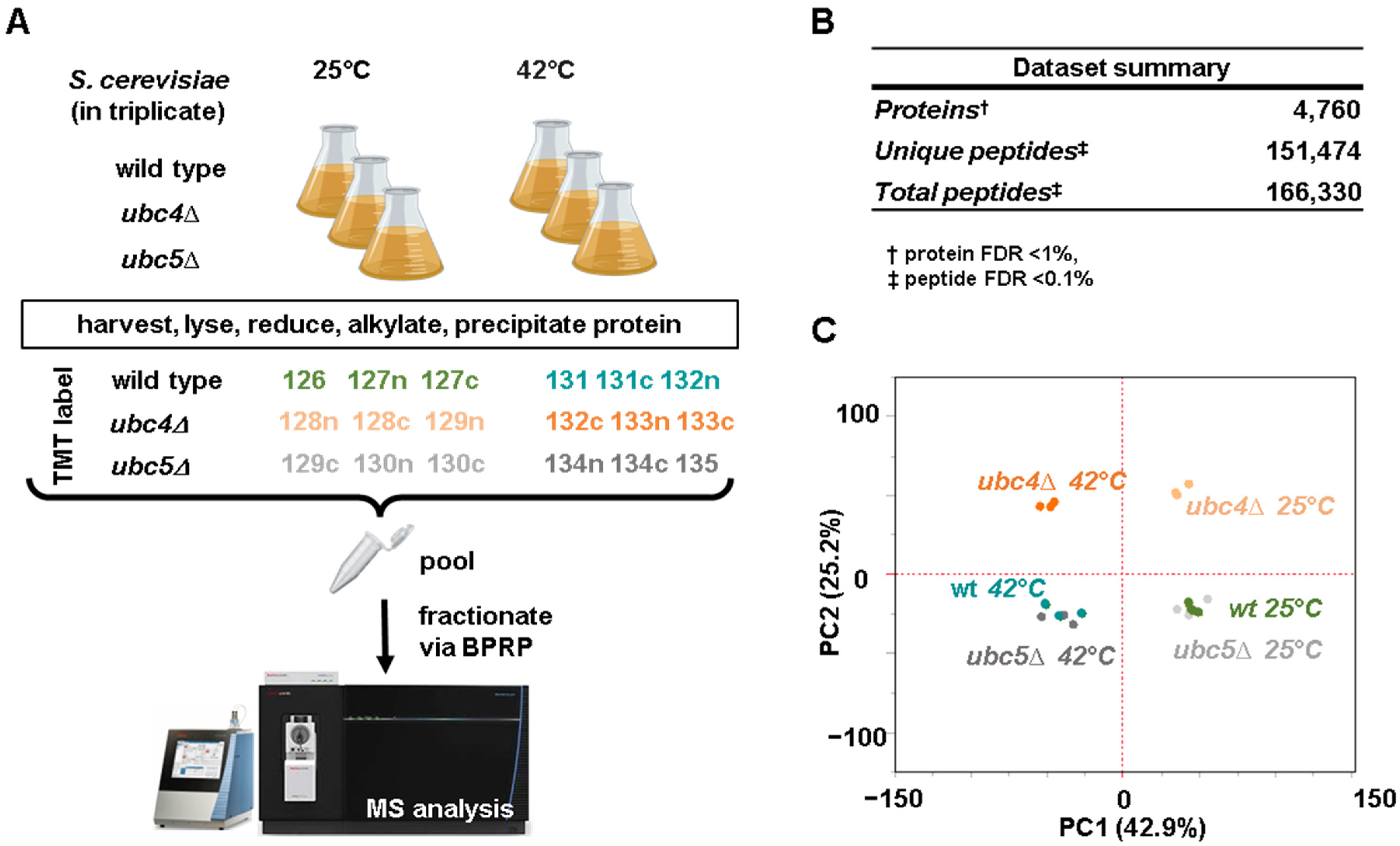 Microorganisms 12 02235 g001