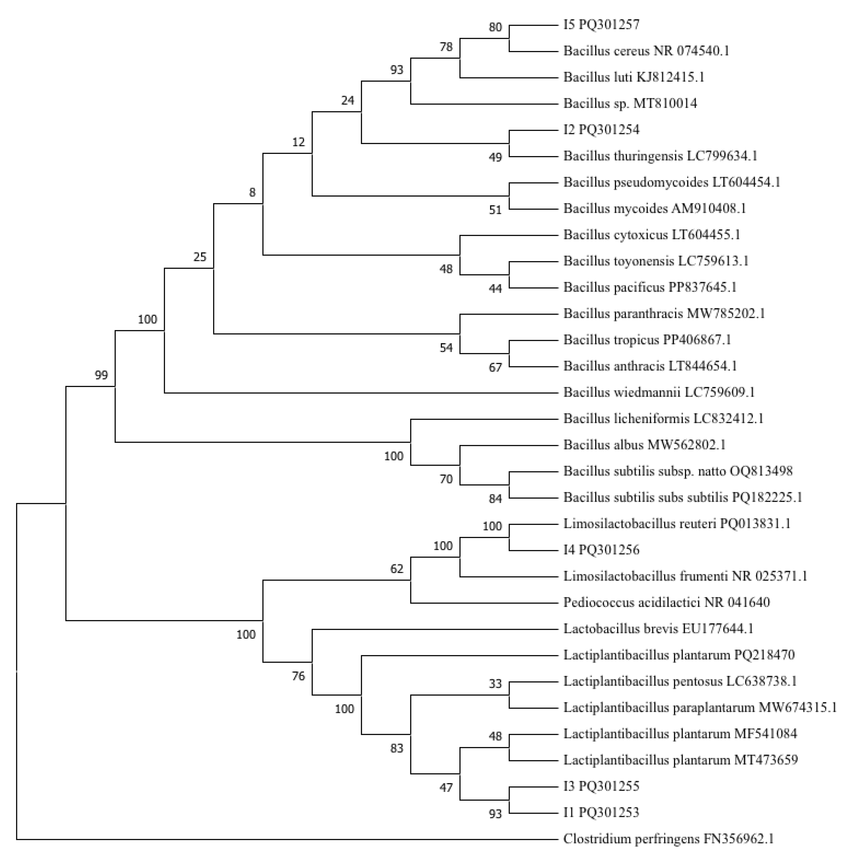 Microorganisms 12 02236 g006