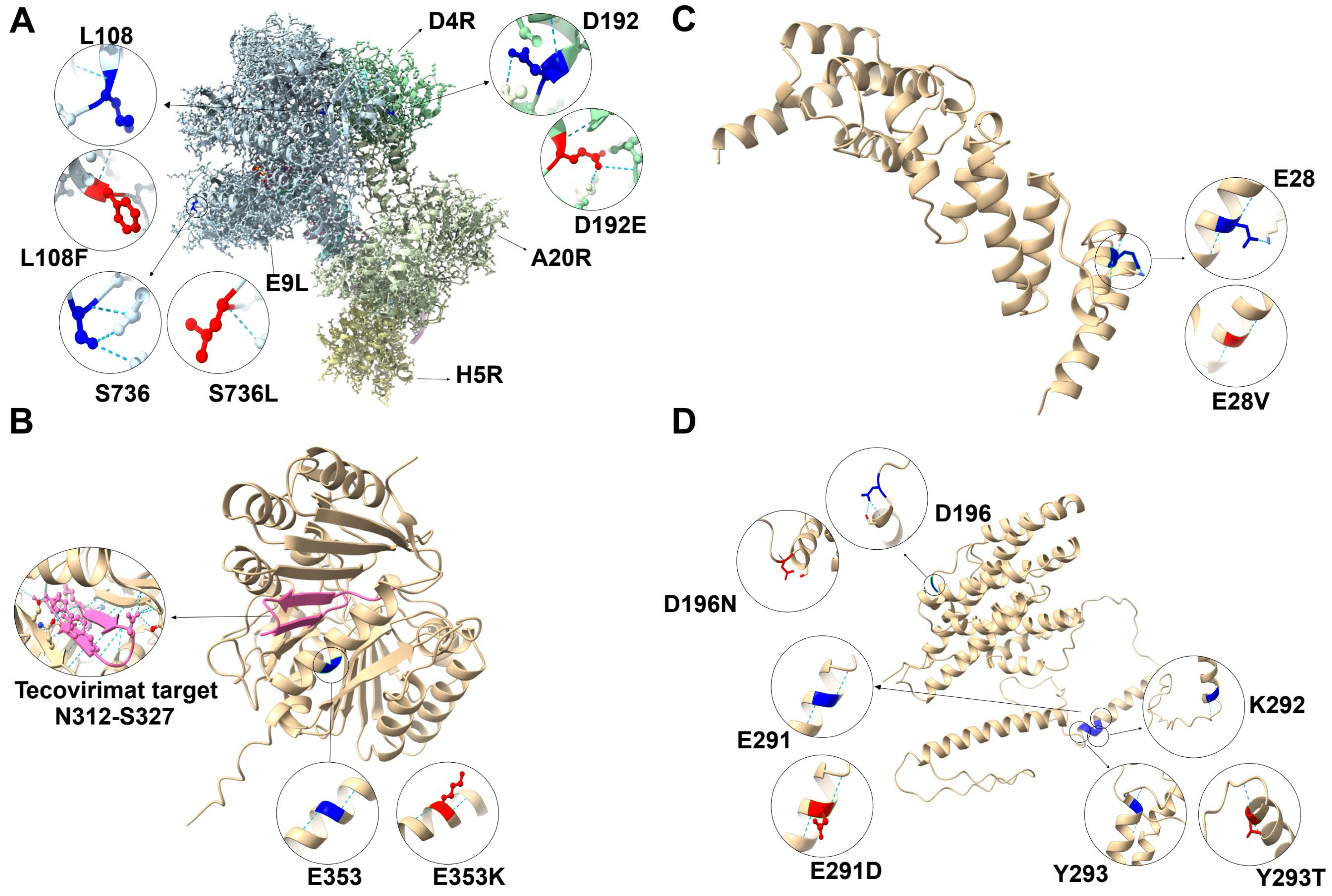 Microorganisms 12 02239 g004