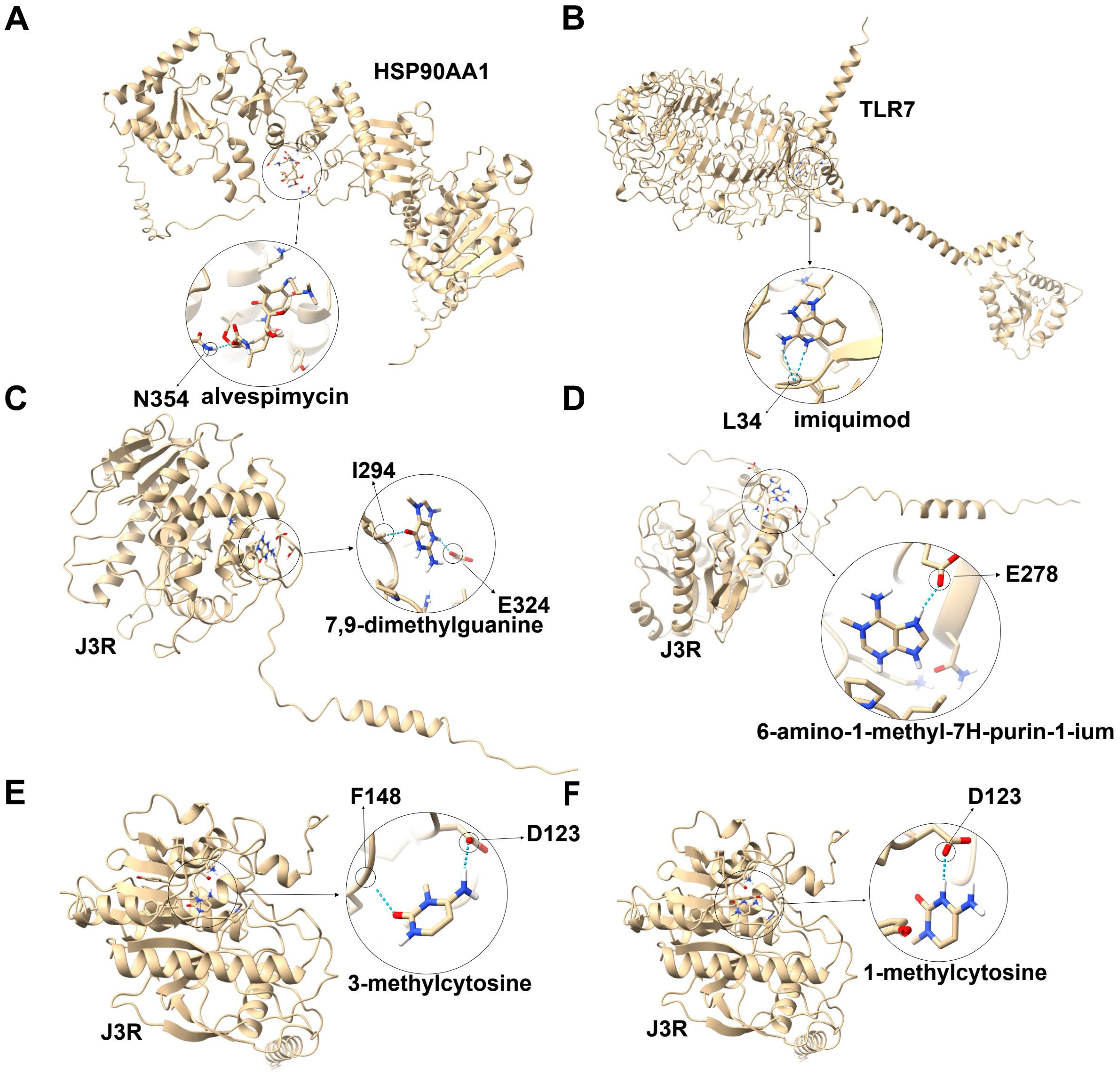 Microorganisms 12 02239 g006