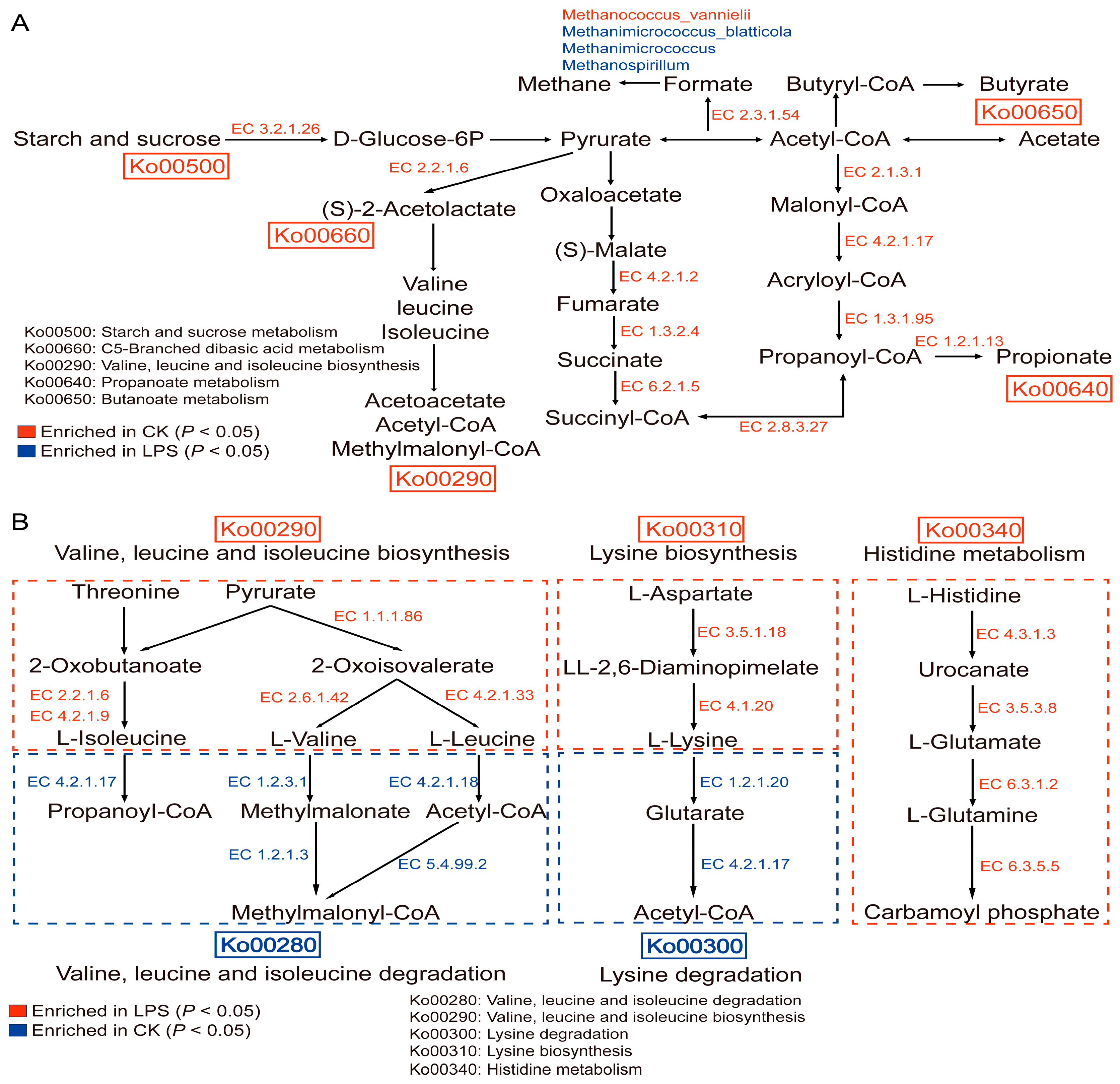 Microorganisms 12 02242 g005