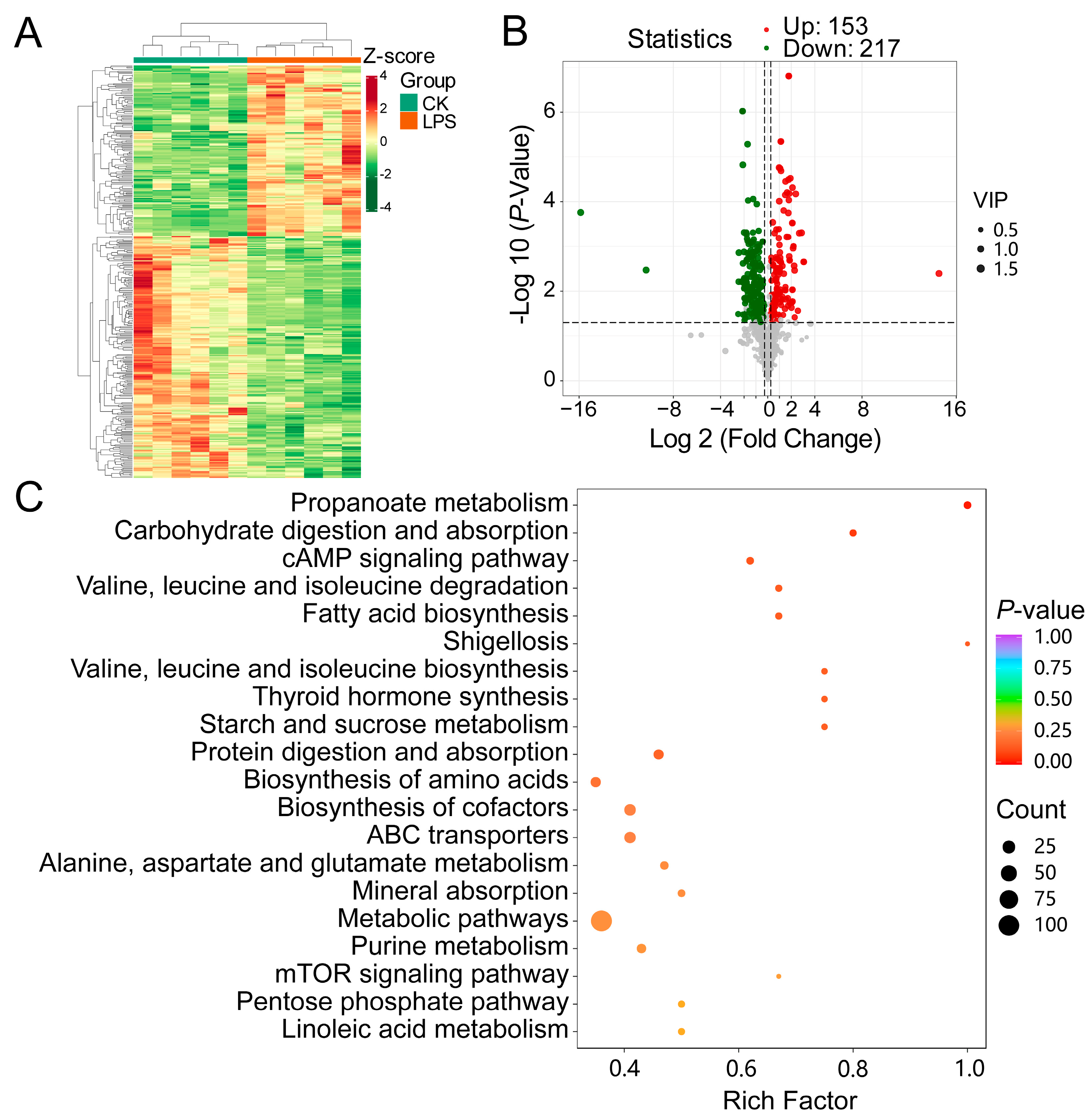 Microorganisms 12 02242 g006