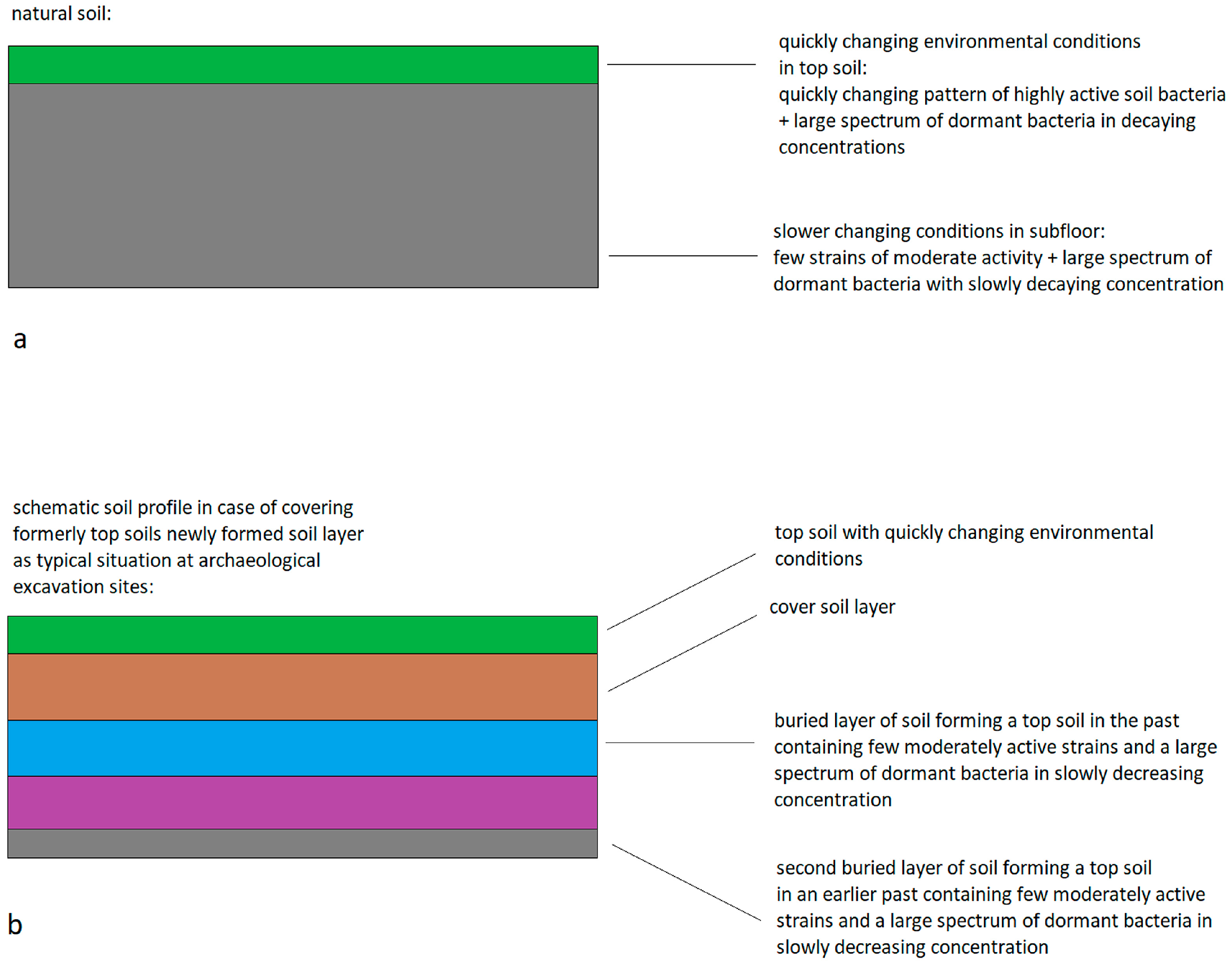 Microorganisms 12 02243 g001