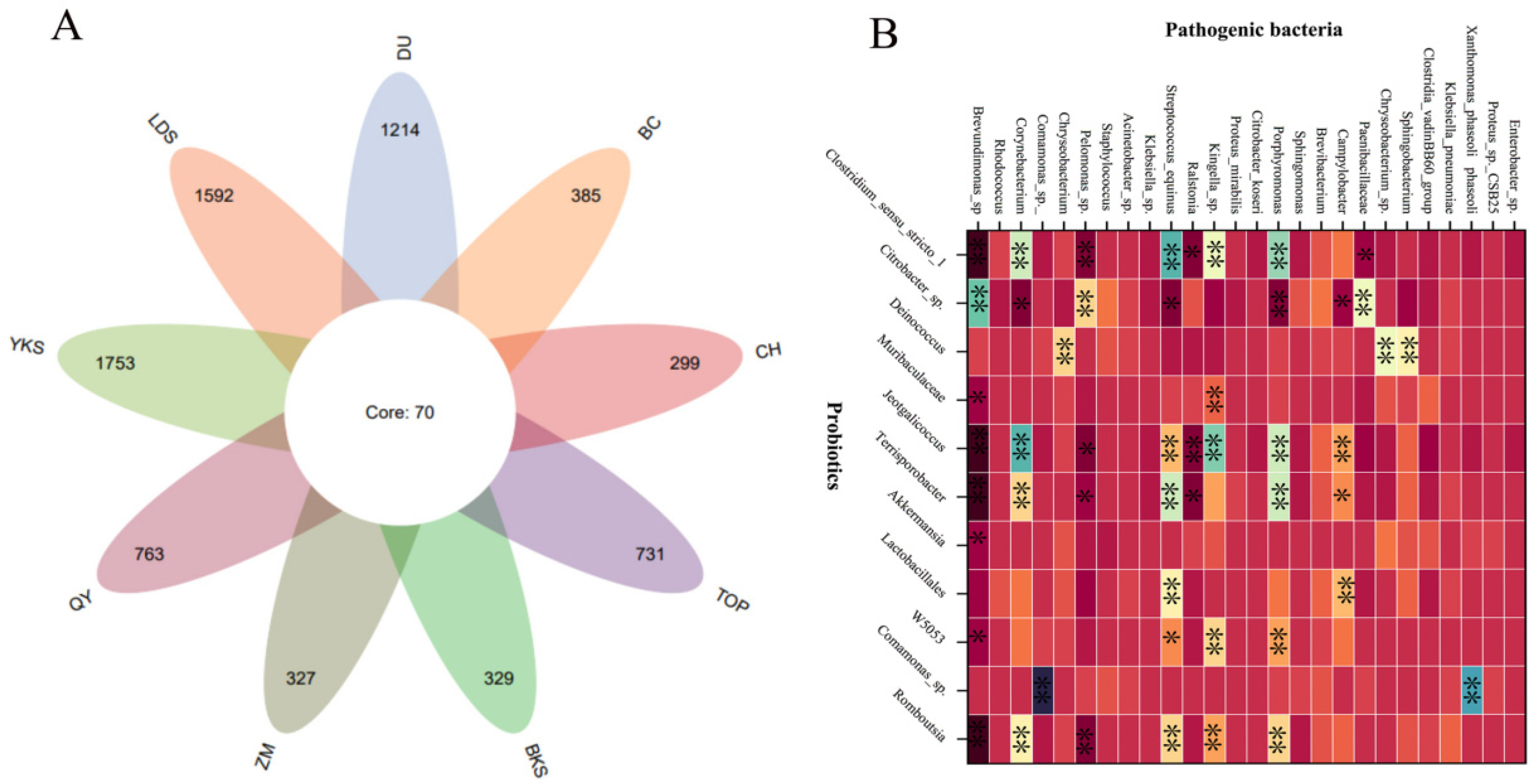 Microorganisms 12 02253 g002