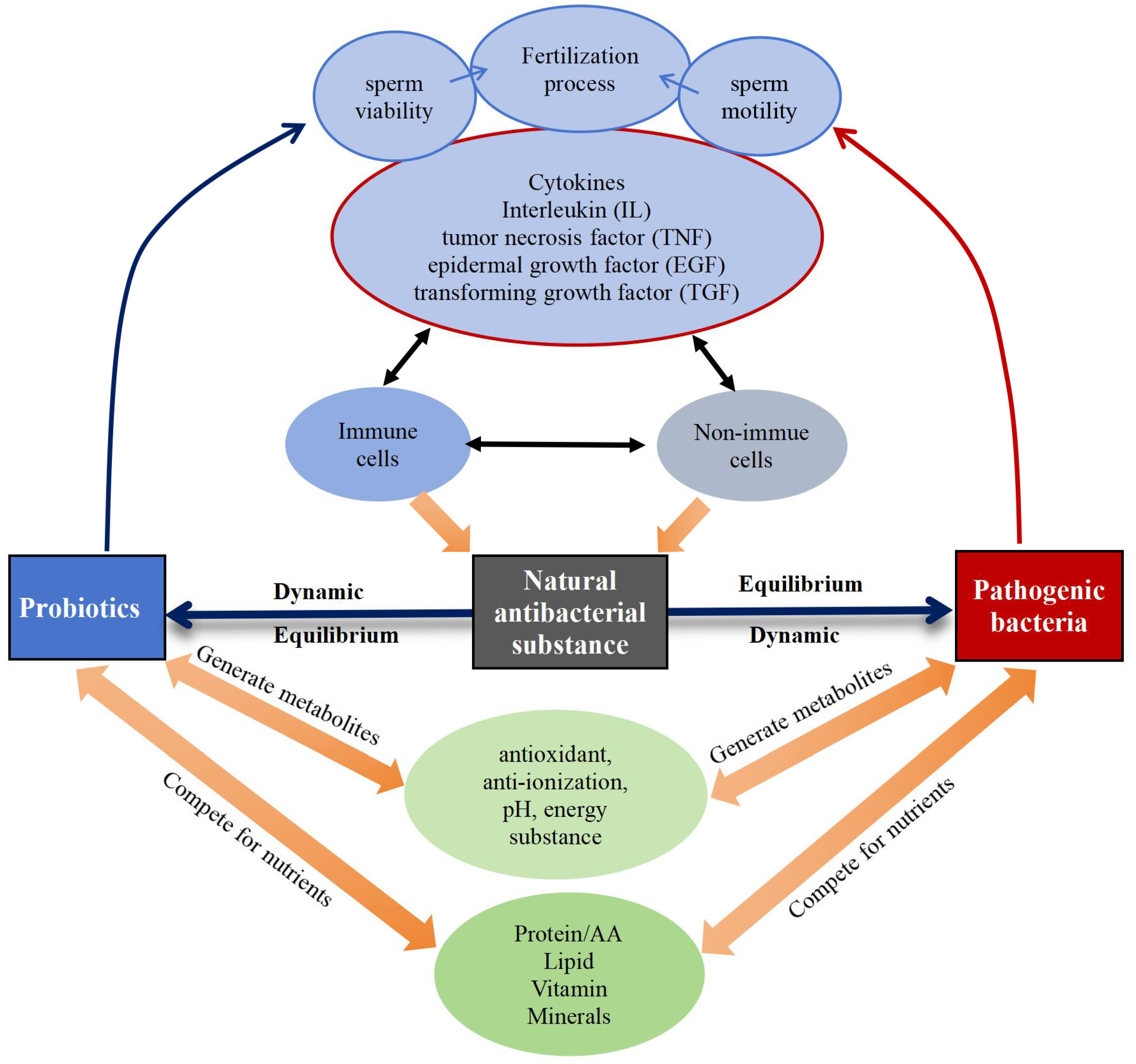 Microorganisms 12 02253 g006