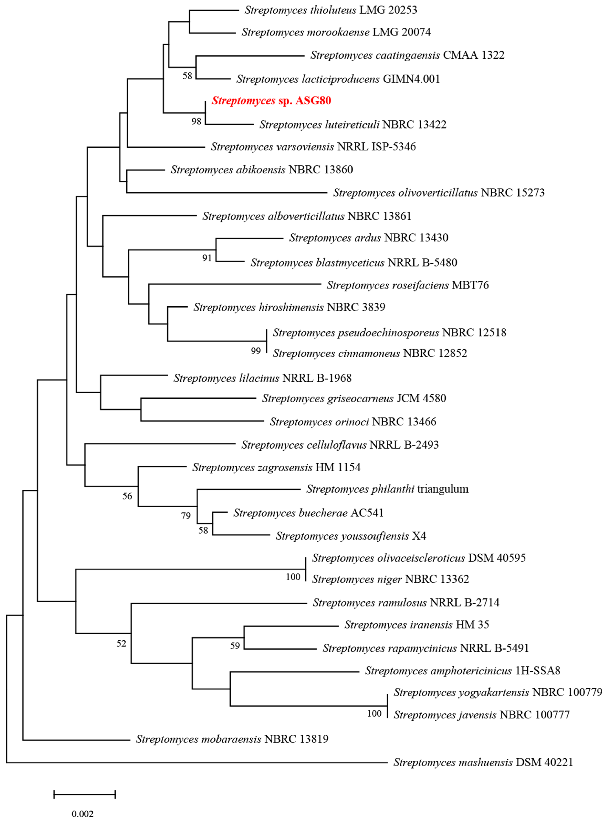Microorganisms 12 02255 g003 Microorganisms 12 02255 g003