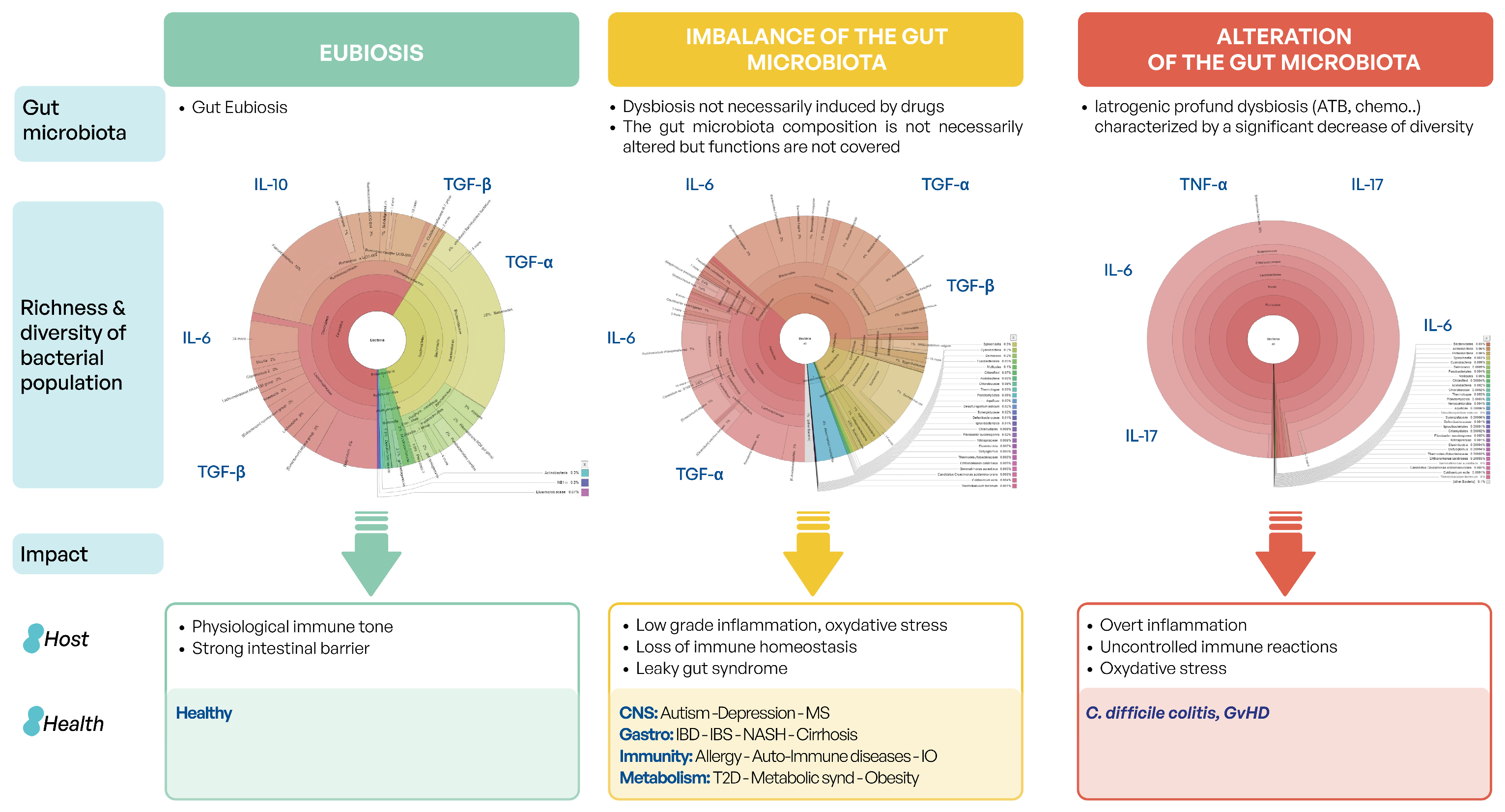 Microorganisms 12 02256 g001