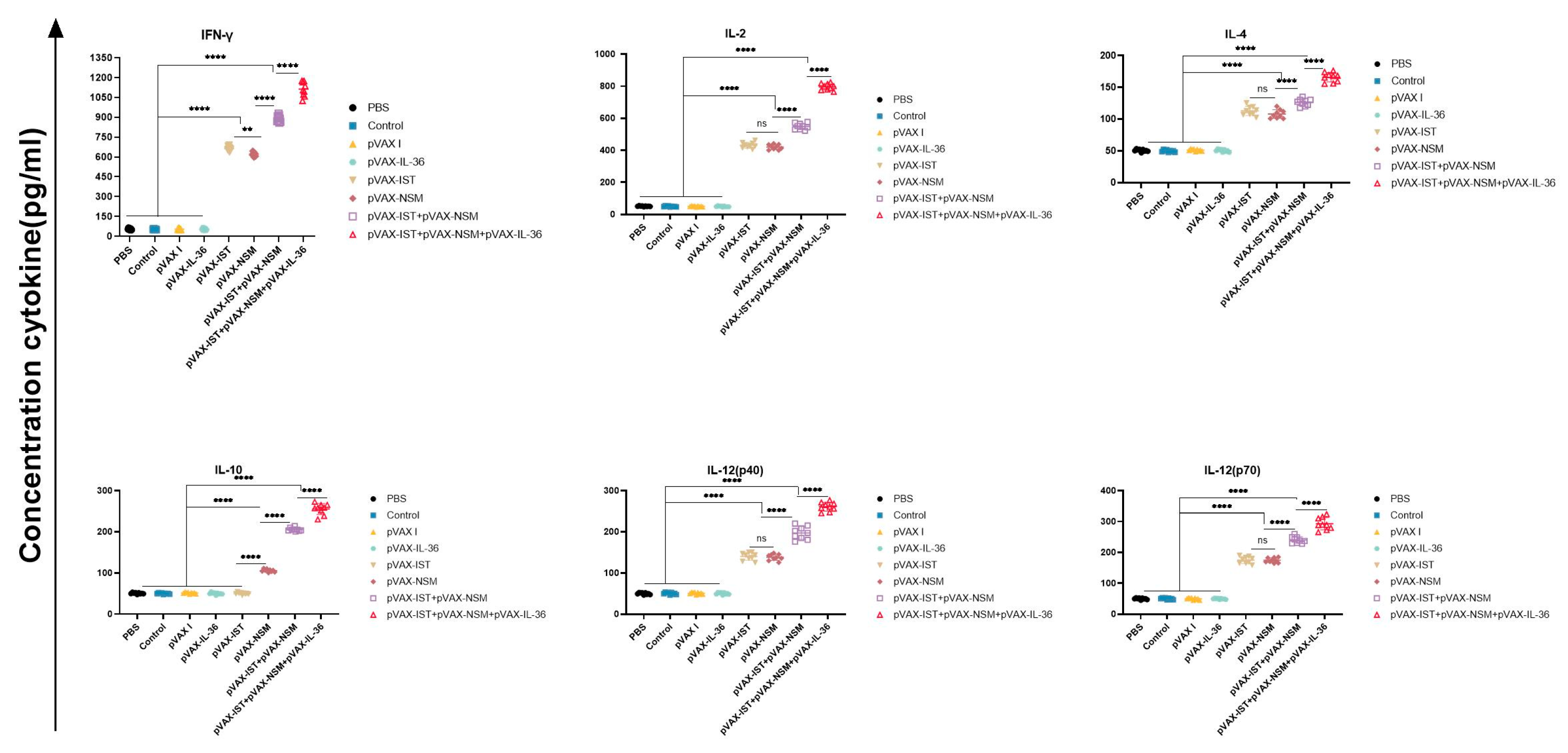 Microorganisms 12 02258 g005