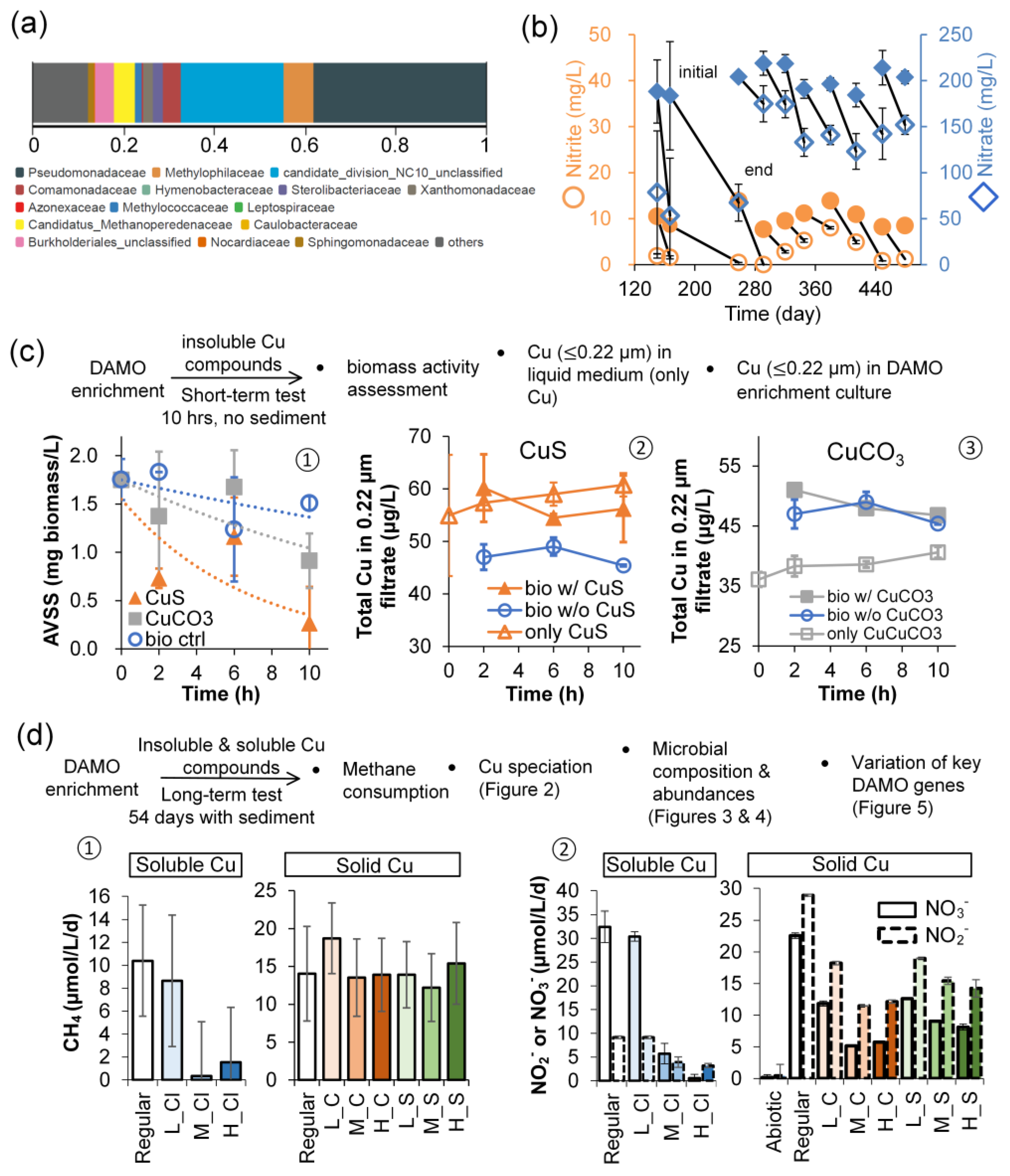 Microorganisms 12 02259 g001