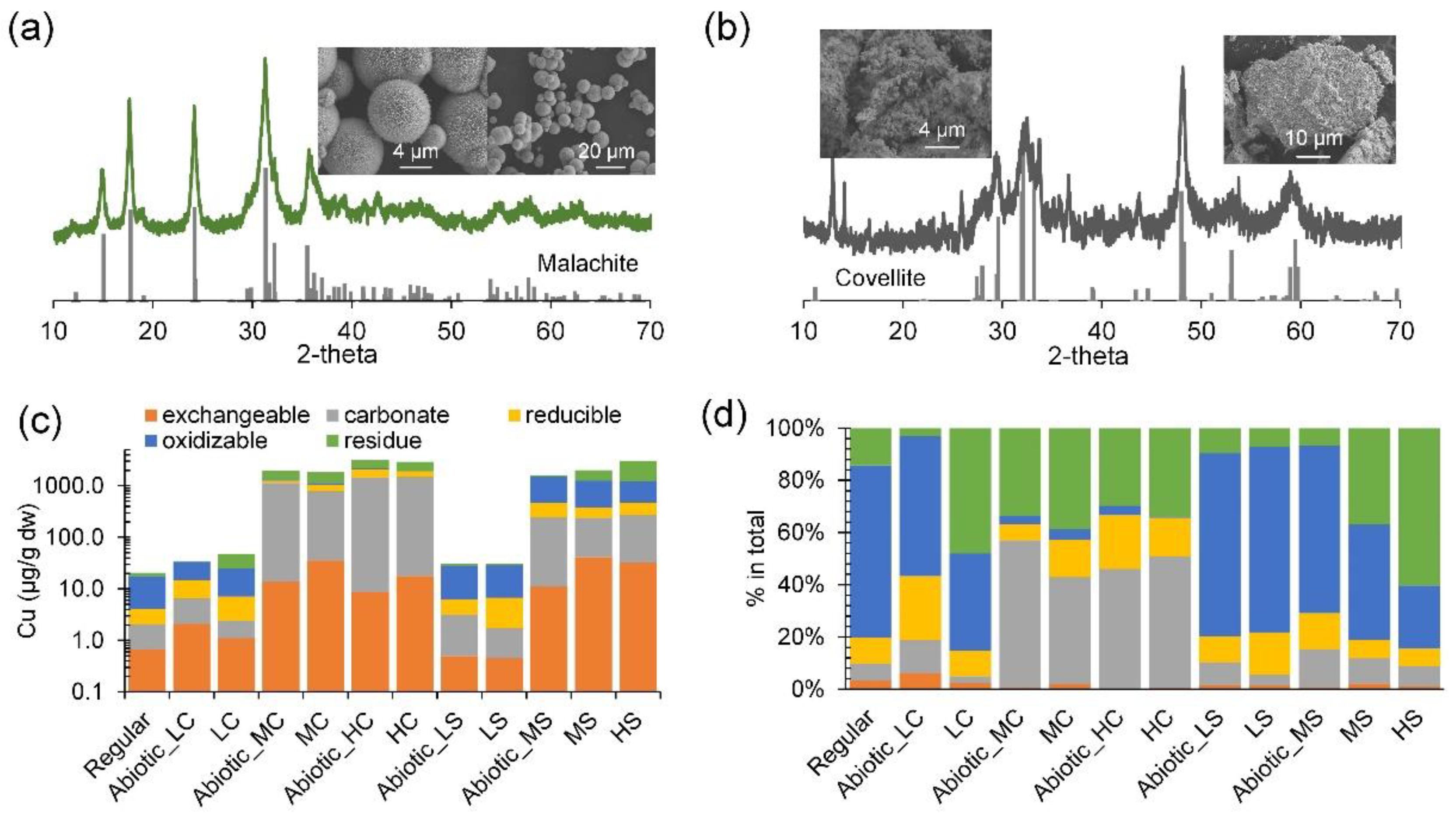 Microorganisms 12 02259 g002