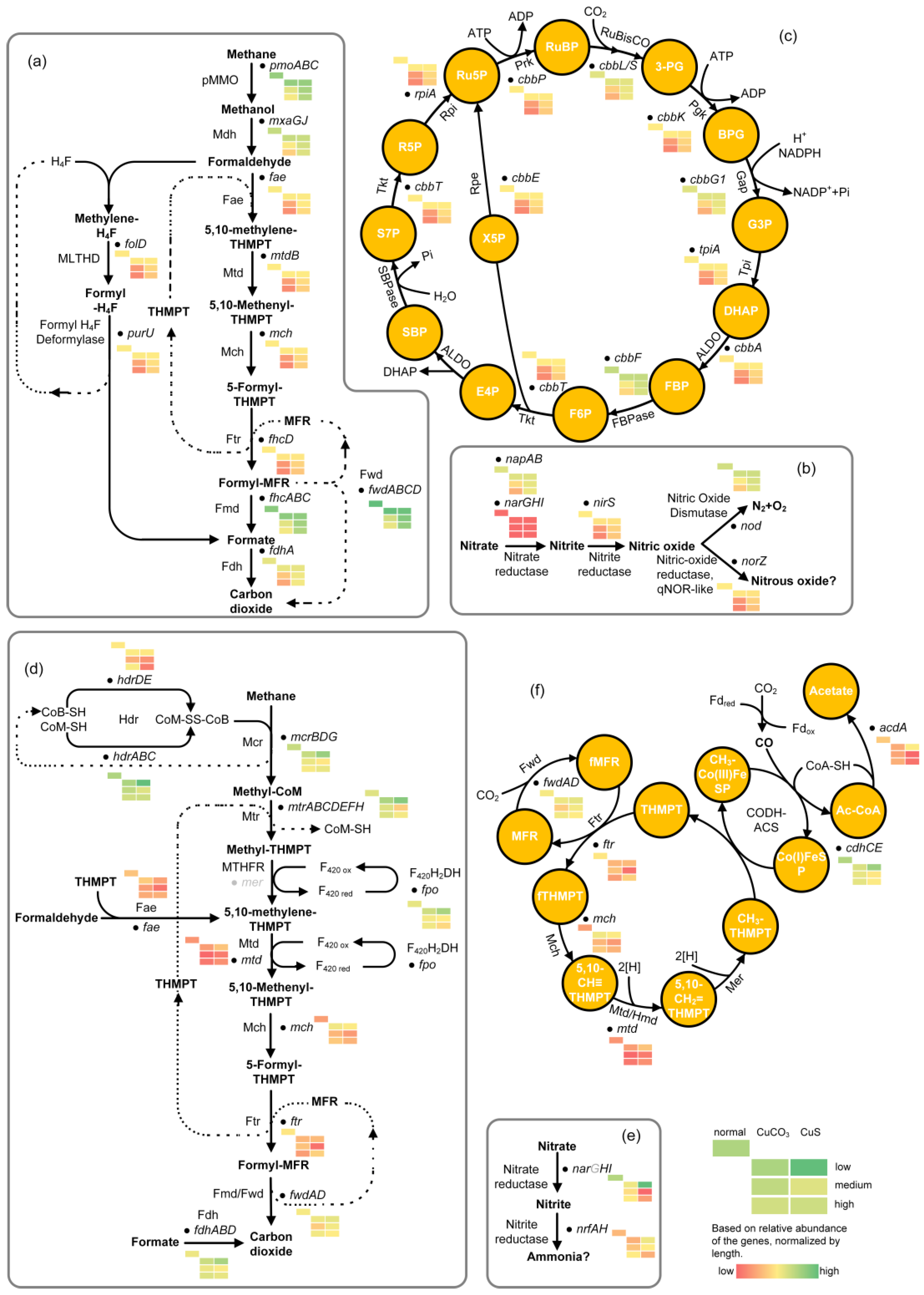 Microorganisms 12 02259 g005