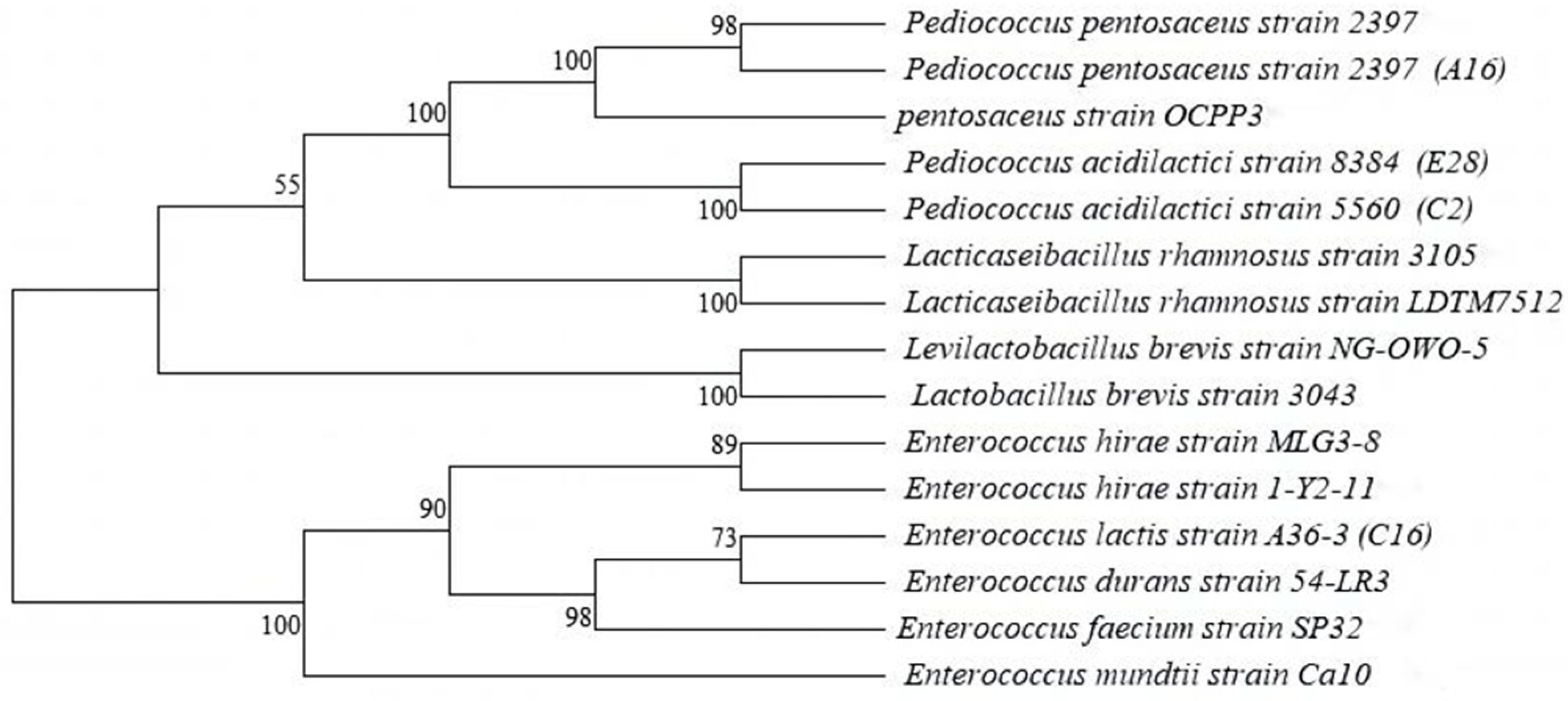 Microorganisms 12 02260 g005 Microorganisms 12 02260 g005