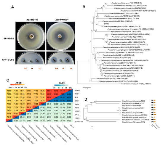 ソルト Обзор раритетов Лего Ниндзяго: наборы 2255, 9590, 9574 | TikTok
