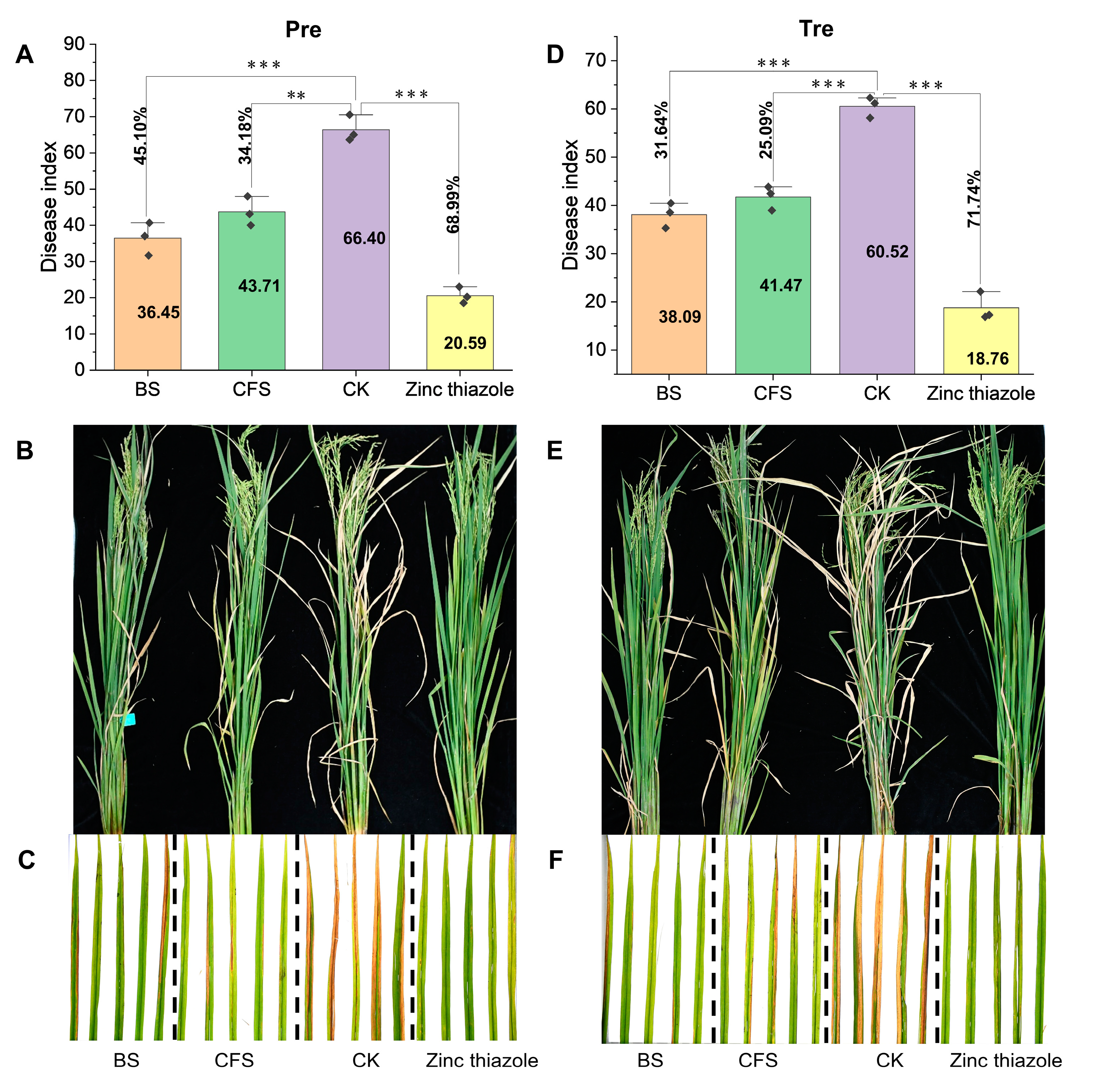 Microorganisms 12 02263 g002