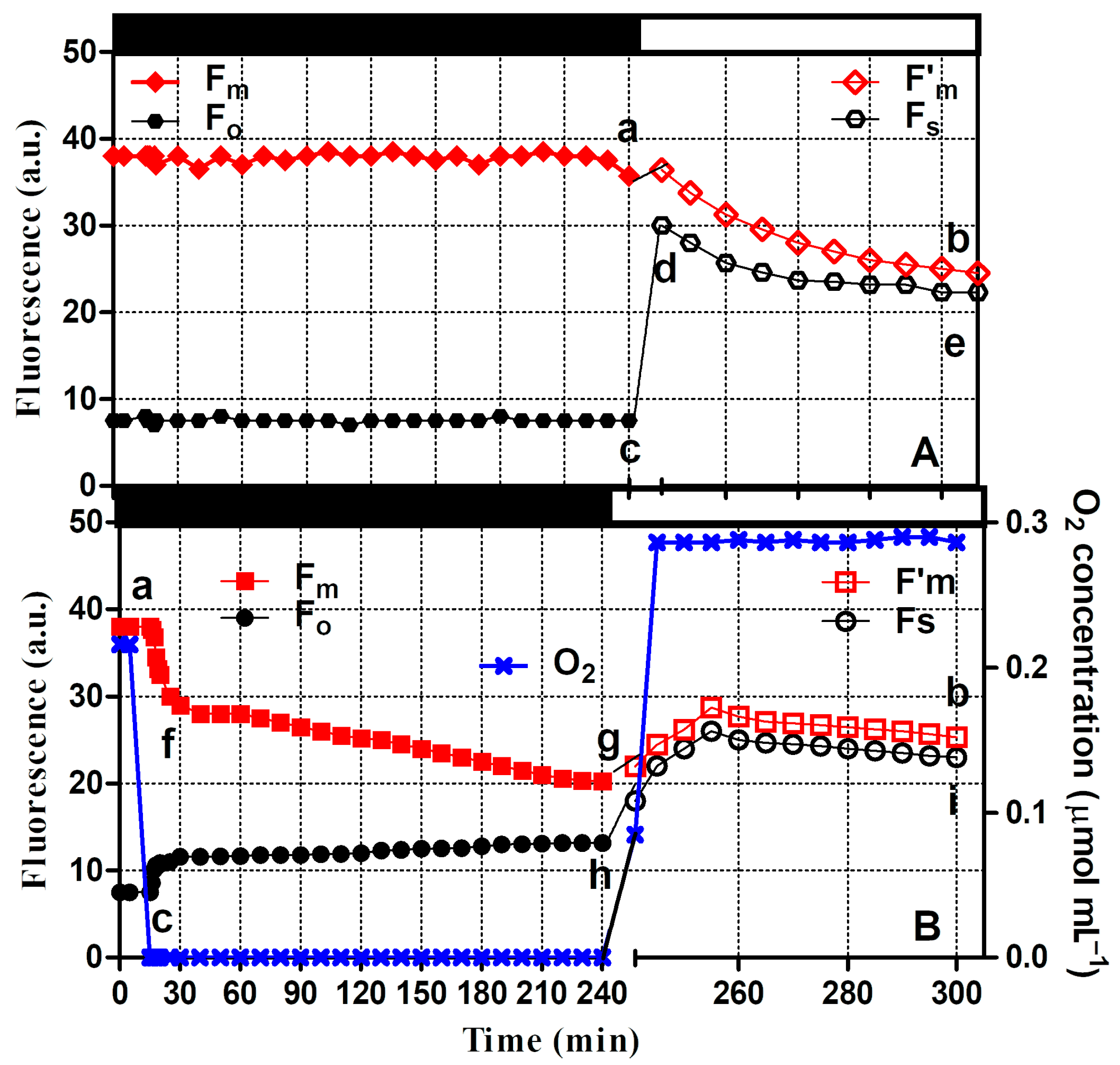 Microorganisms 12 02264 g001