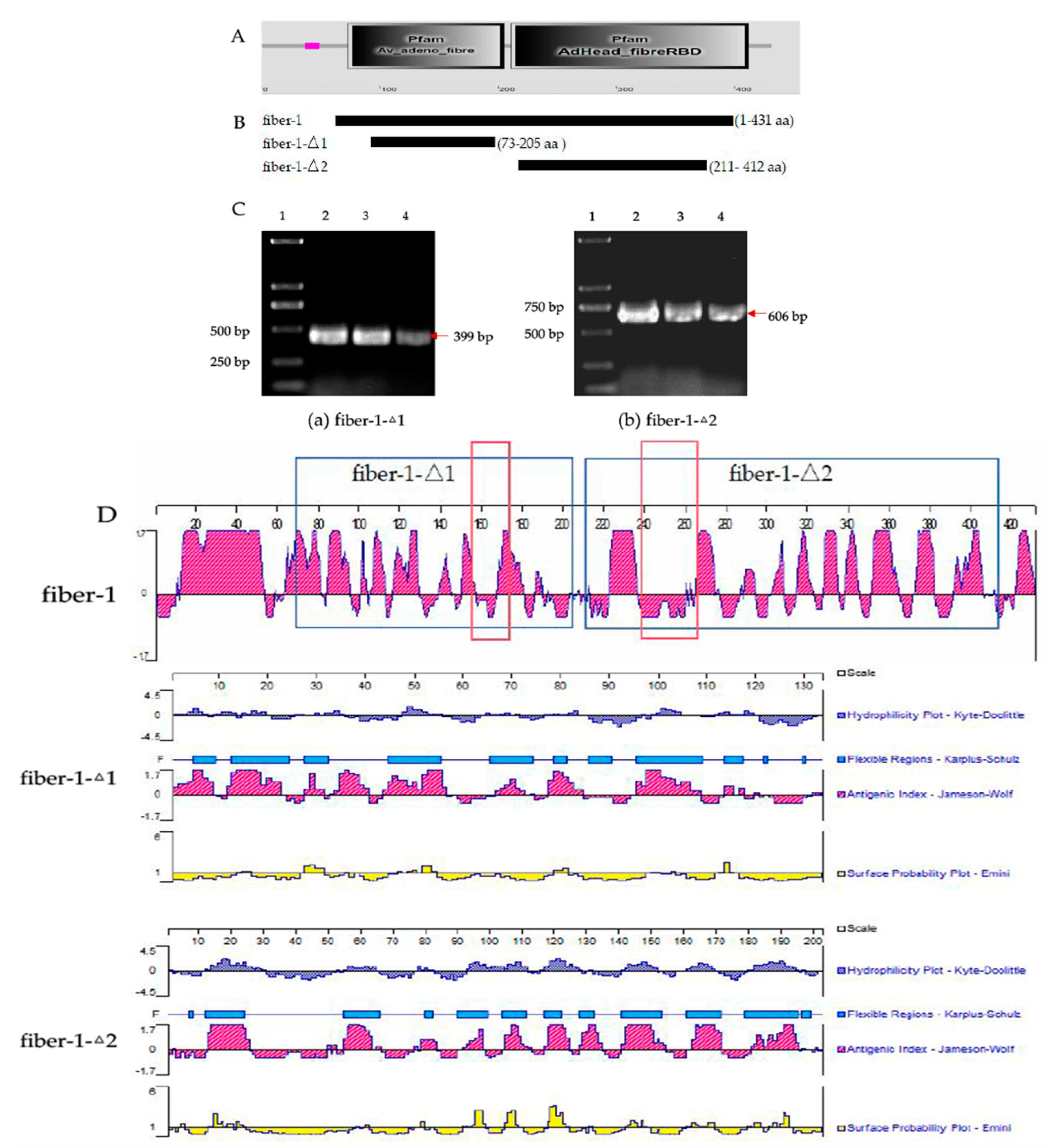 Microorganisms 12 02265 g001