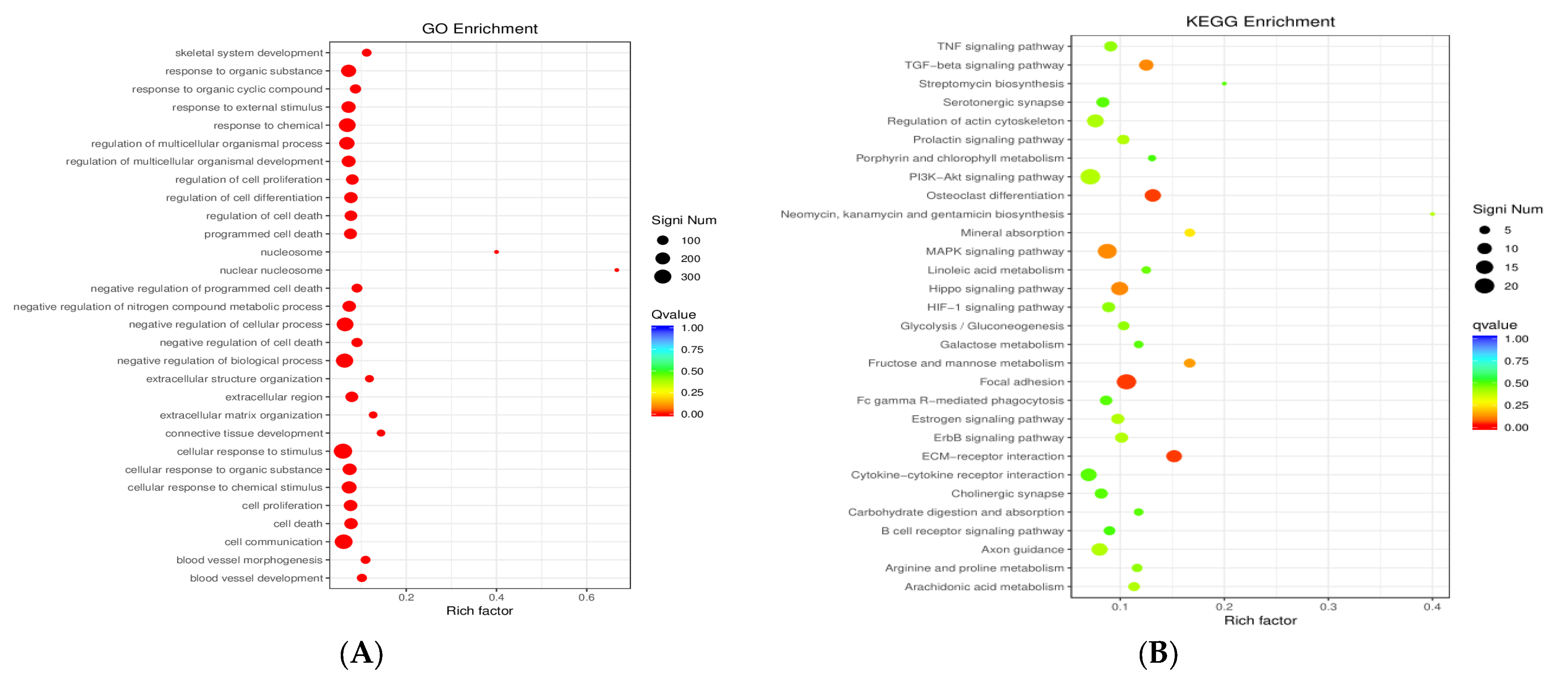 Microorganisms 12 02265 g005