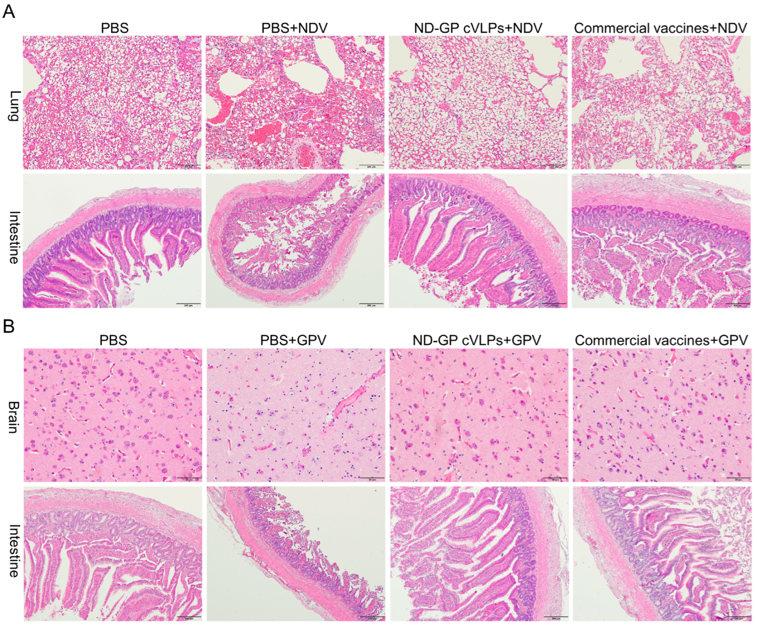 Microorganisms 12 02266 g005