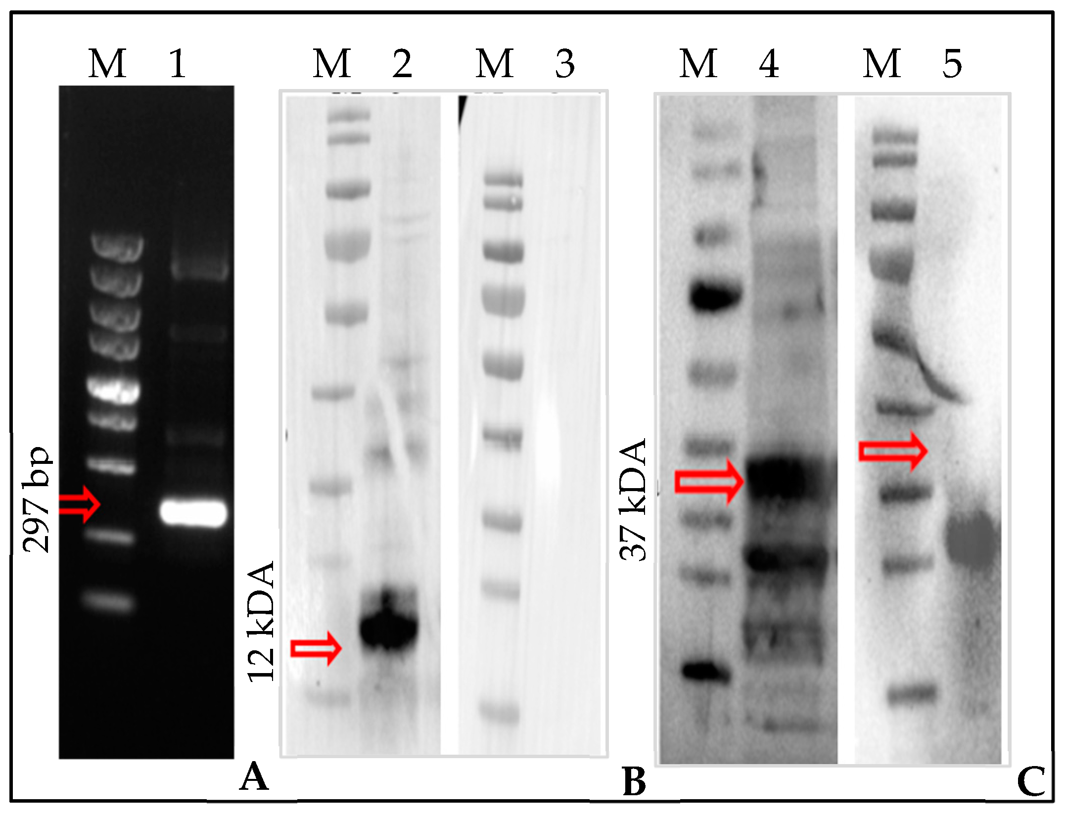 Microorganisms 12 02269 g002