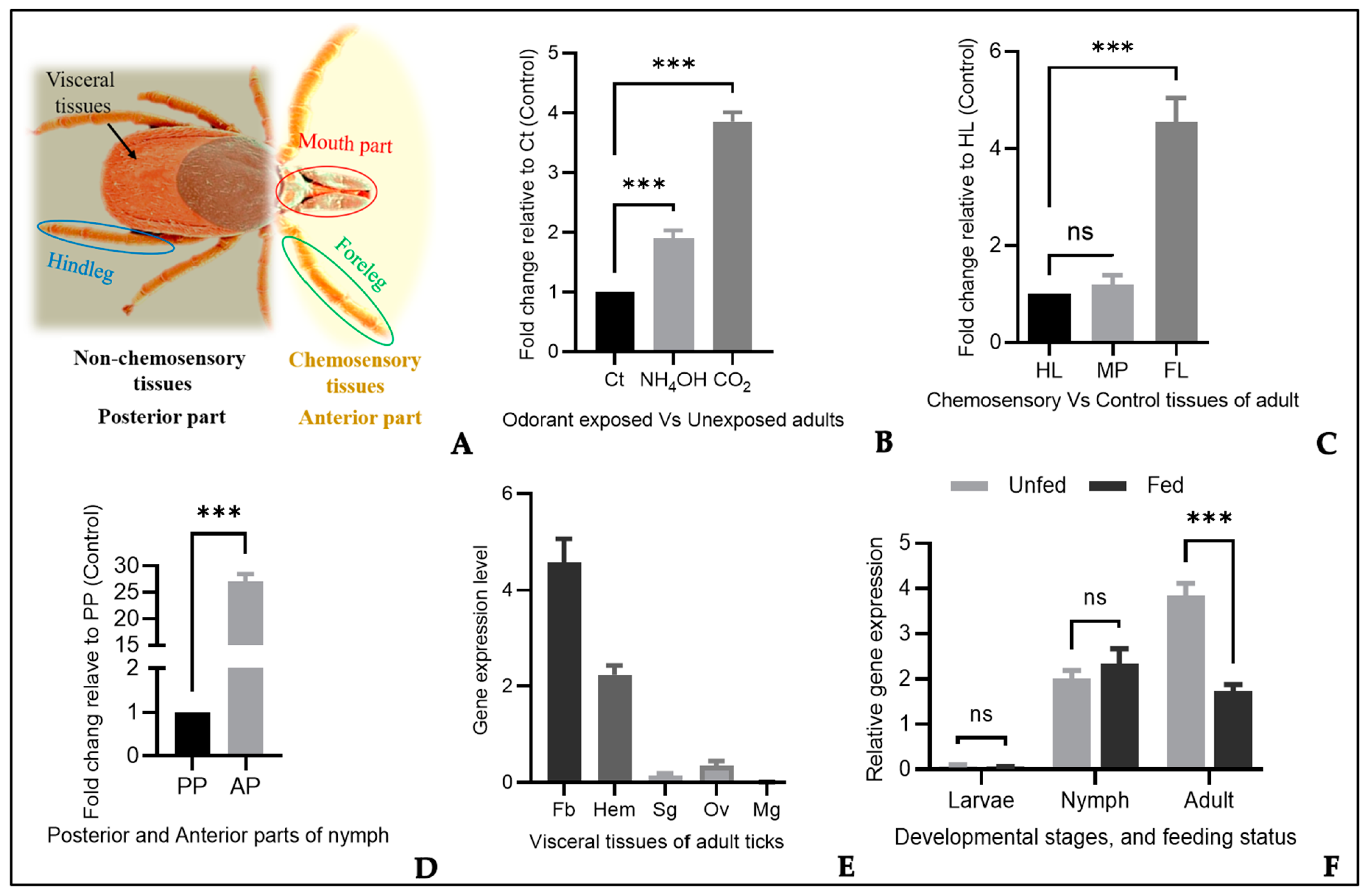 Microorganisms 12 02269 g003