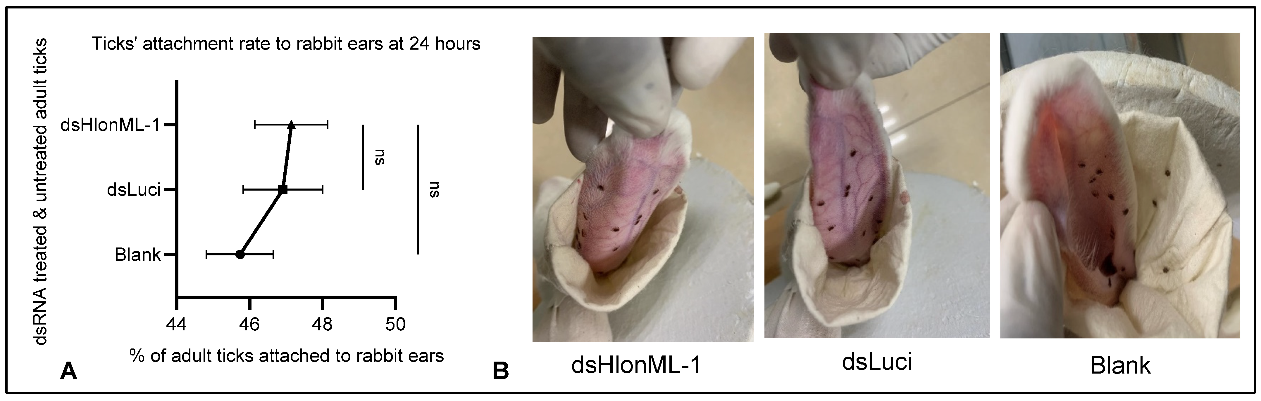 Microorganisms 12 02269 g005