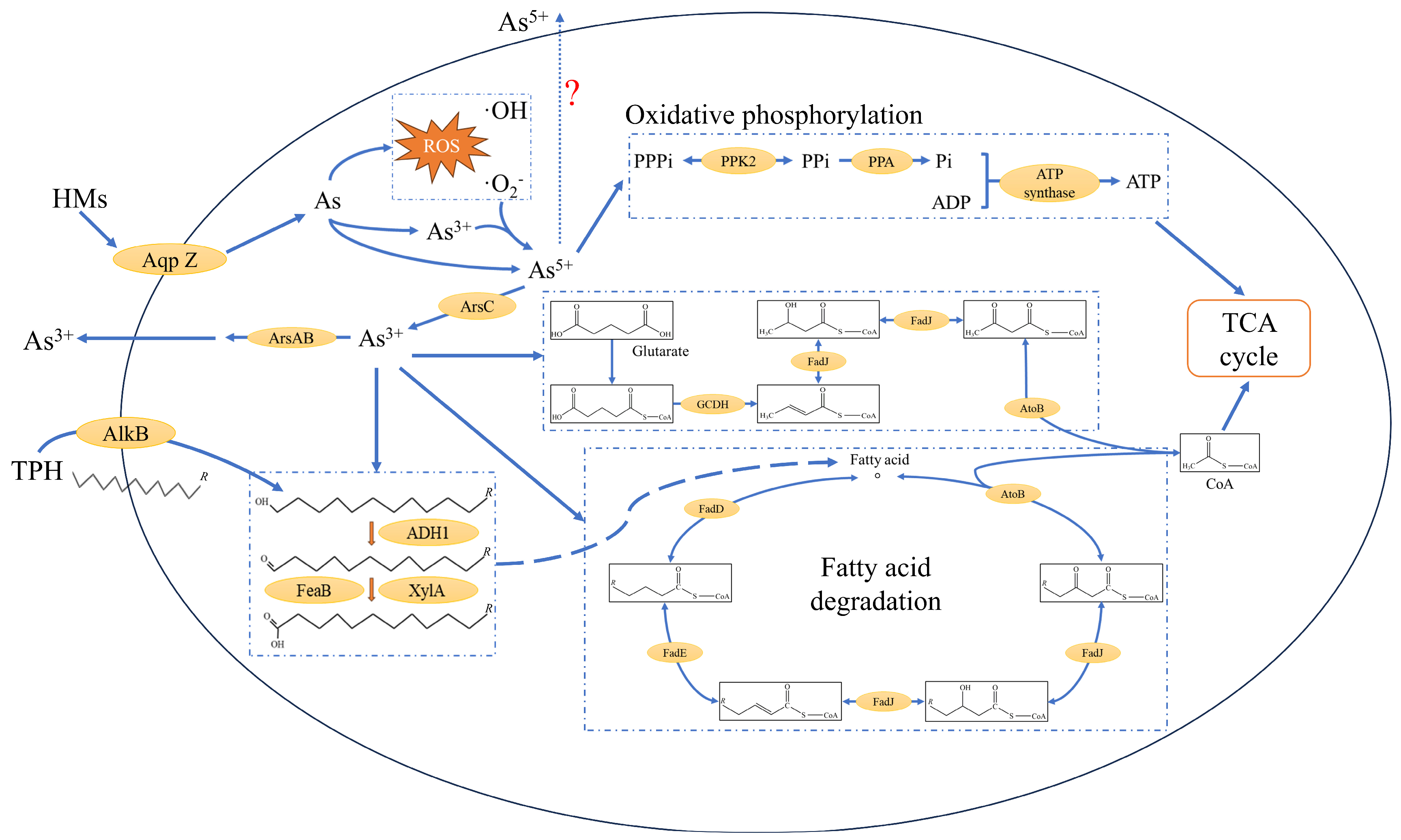 Microorganisms 12 02279 g007
