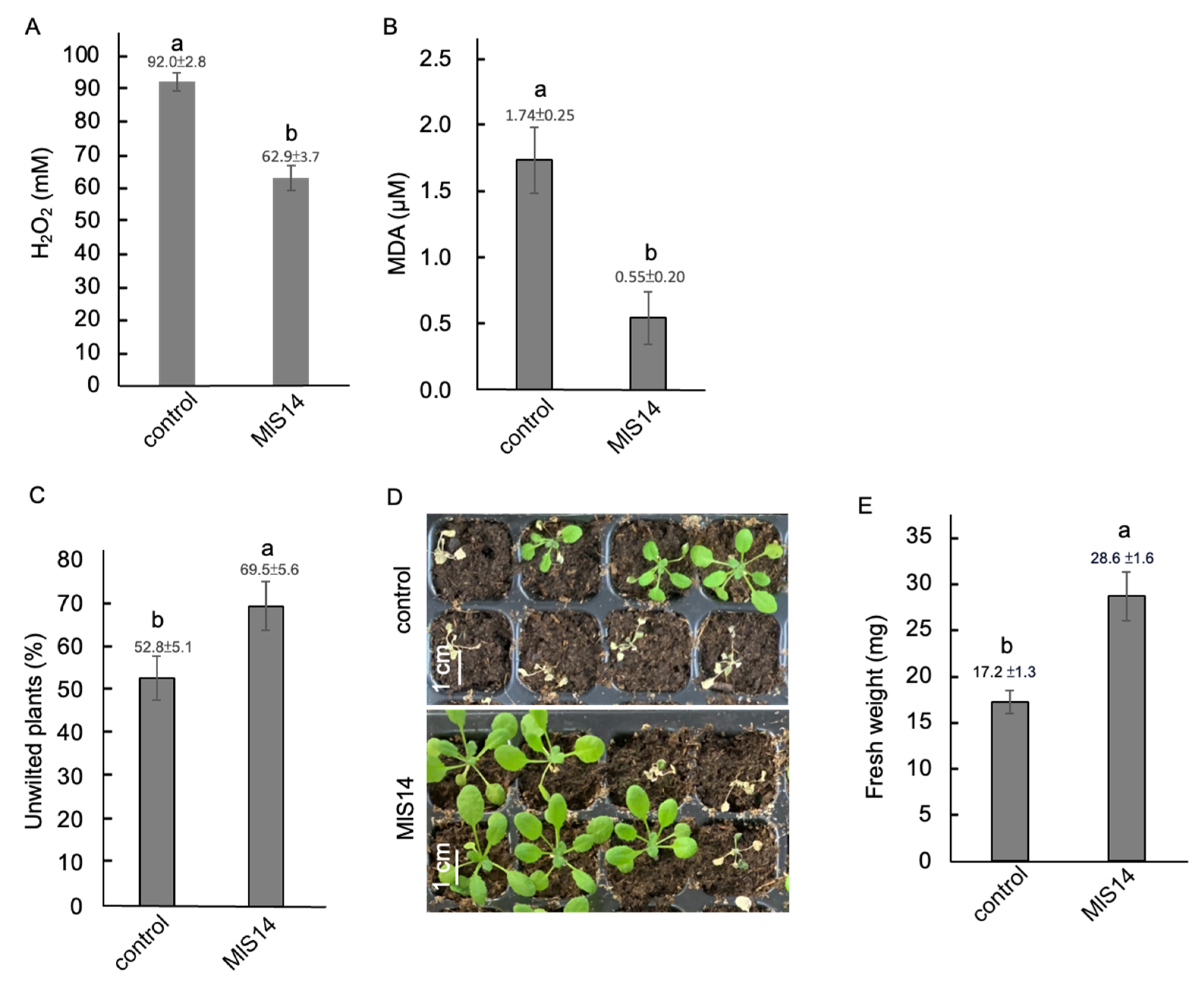 Microorganisms 12 02283 g006