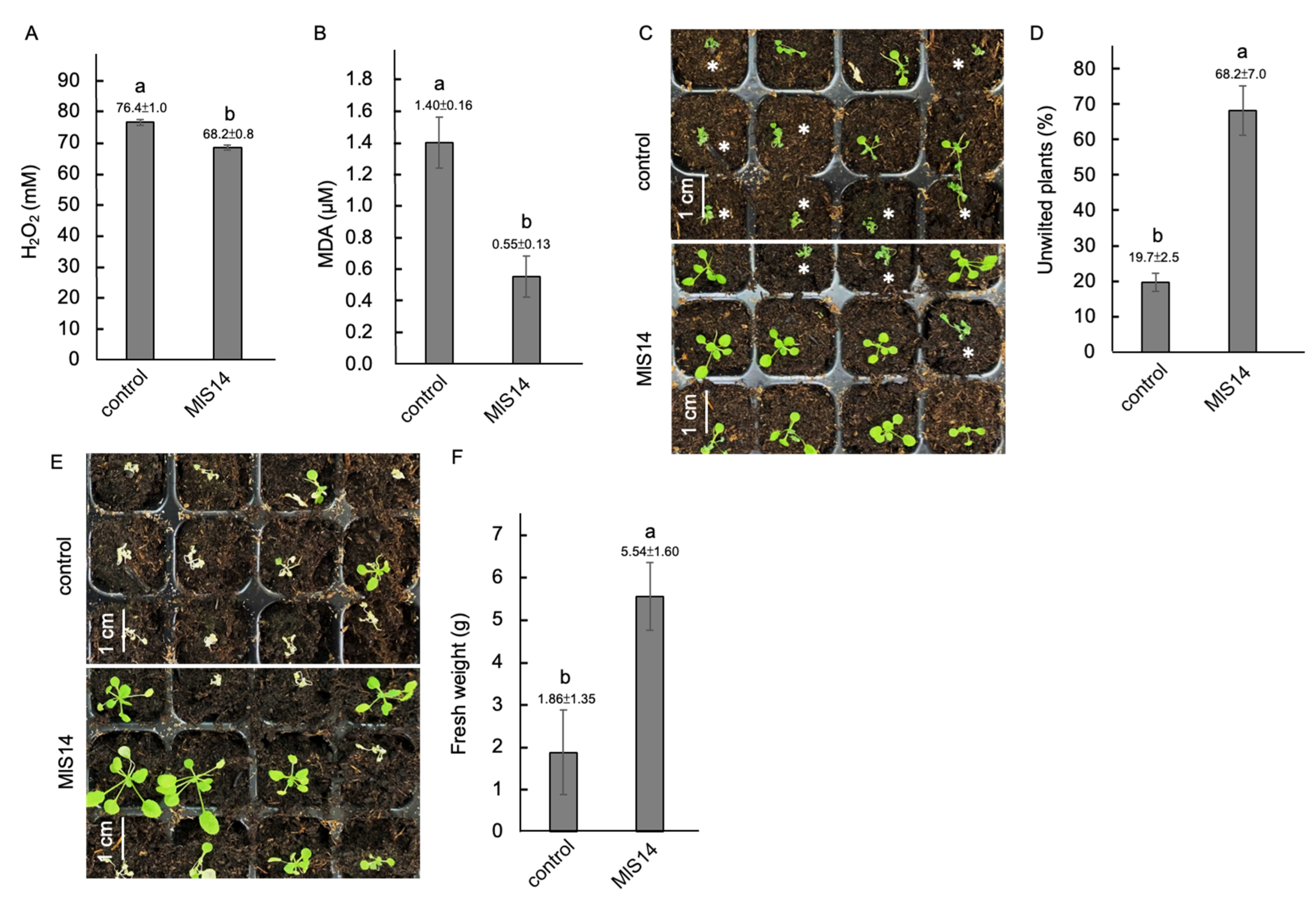 Microorganisms 12 02283 g007