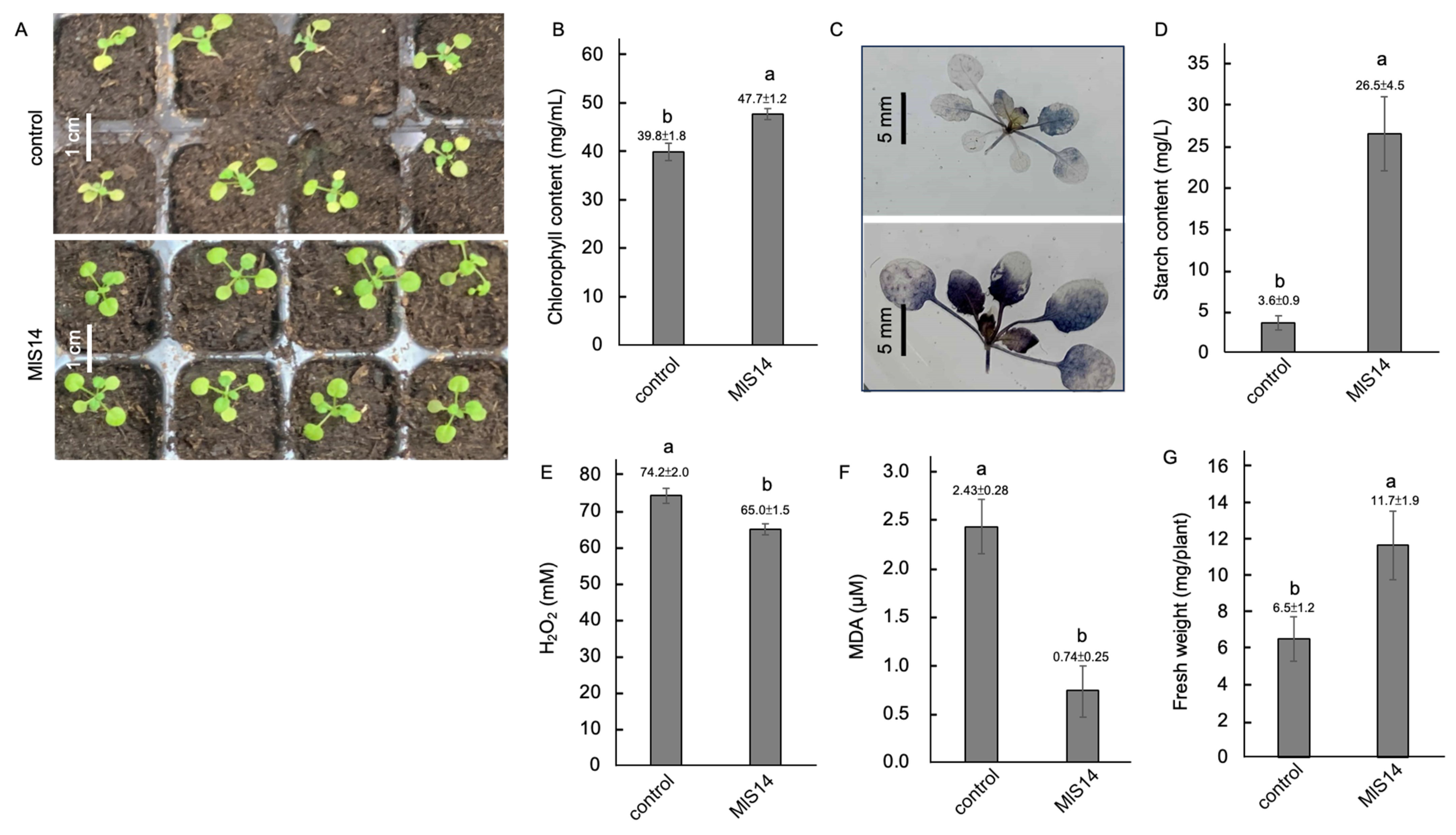 Microorganisms 12 02283 g008