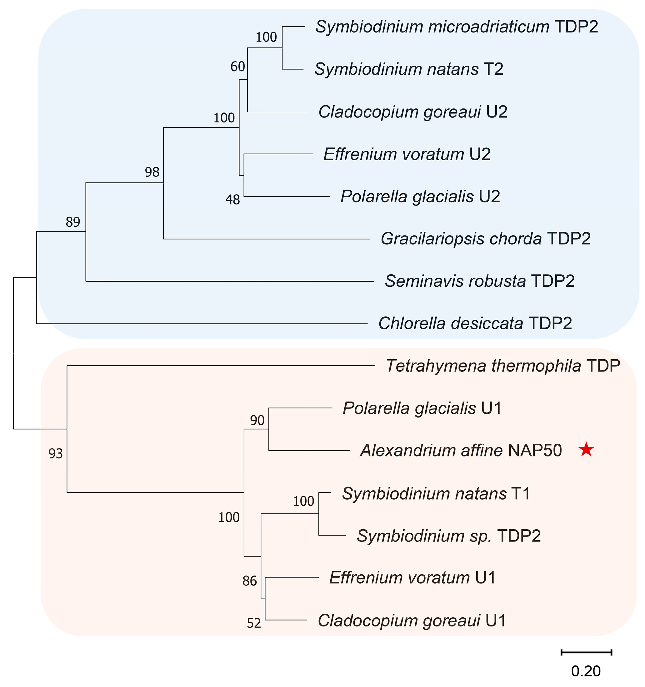 Microorganisms 12 02286 g002