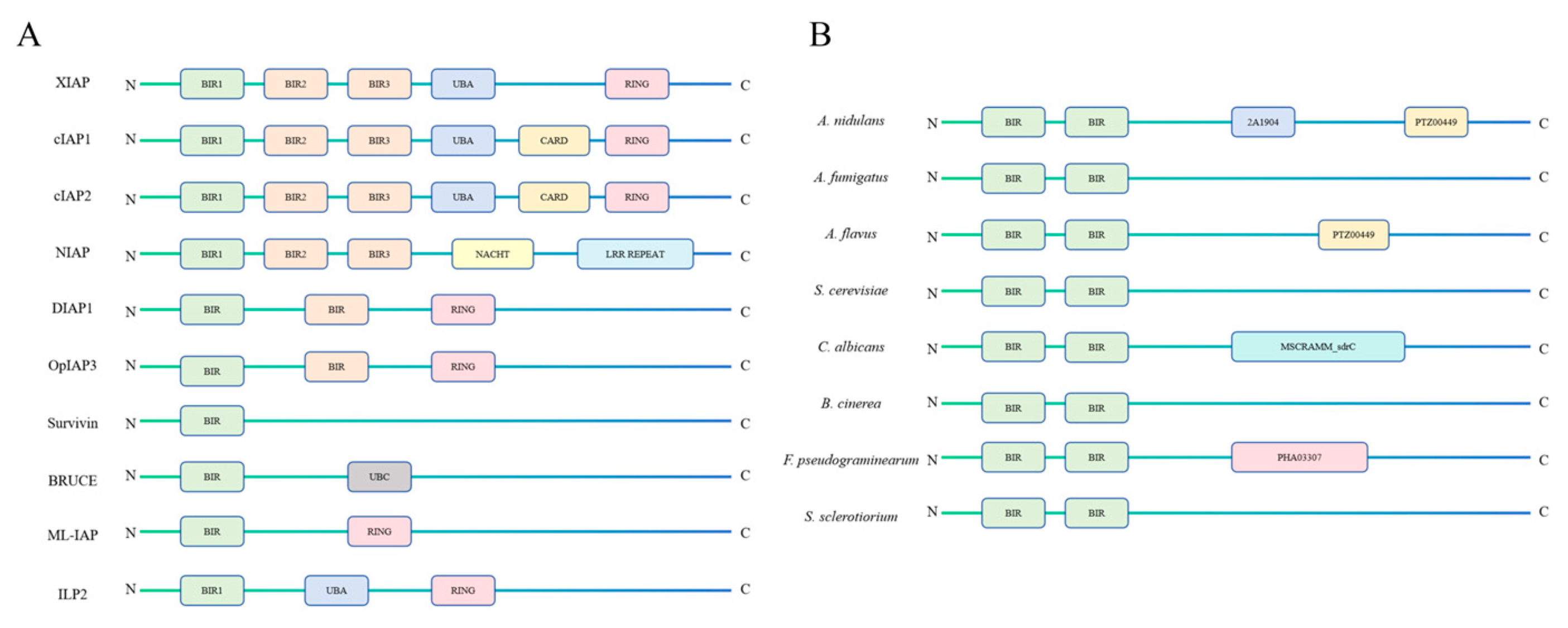 Microorganisms 12 02289 g002