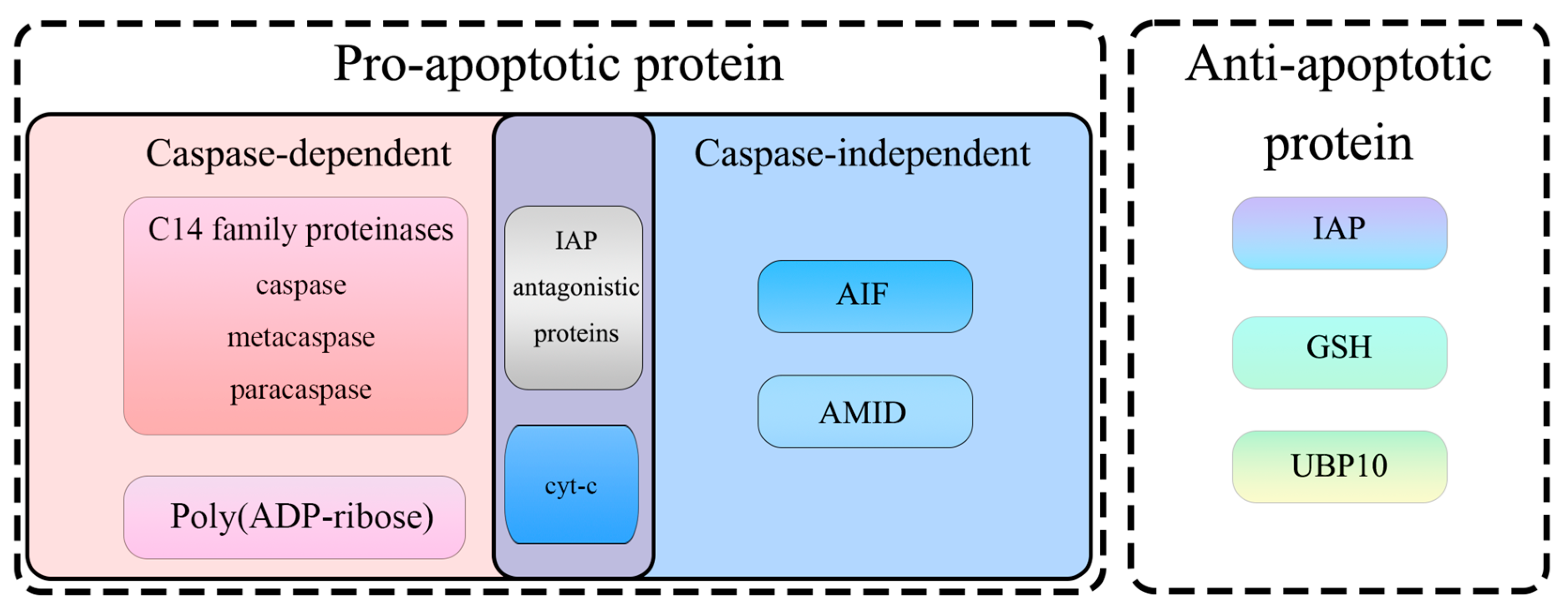 Microorganisms 12 02289 g003