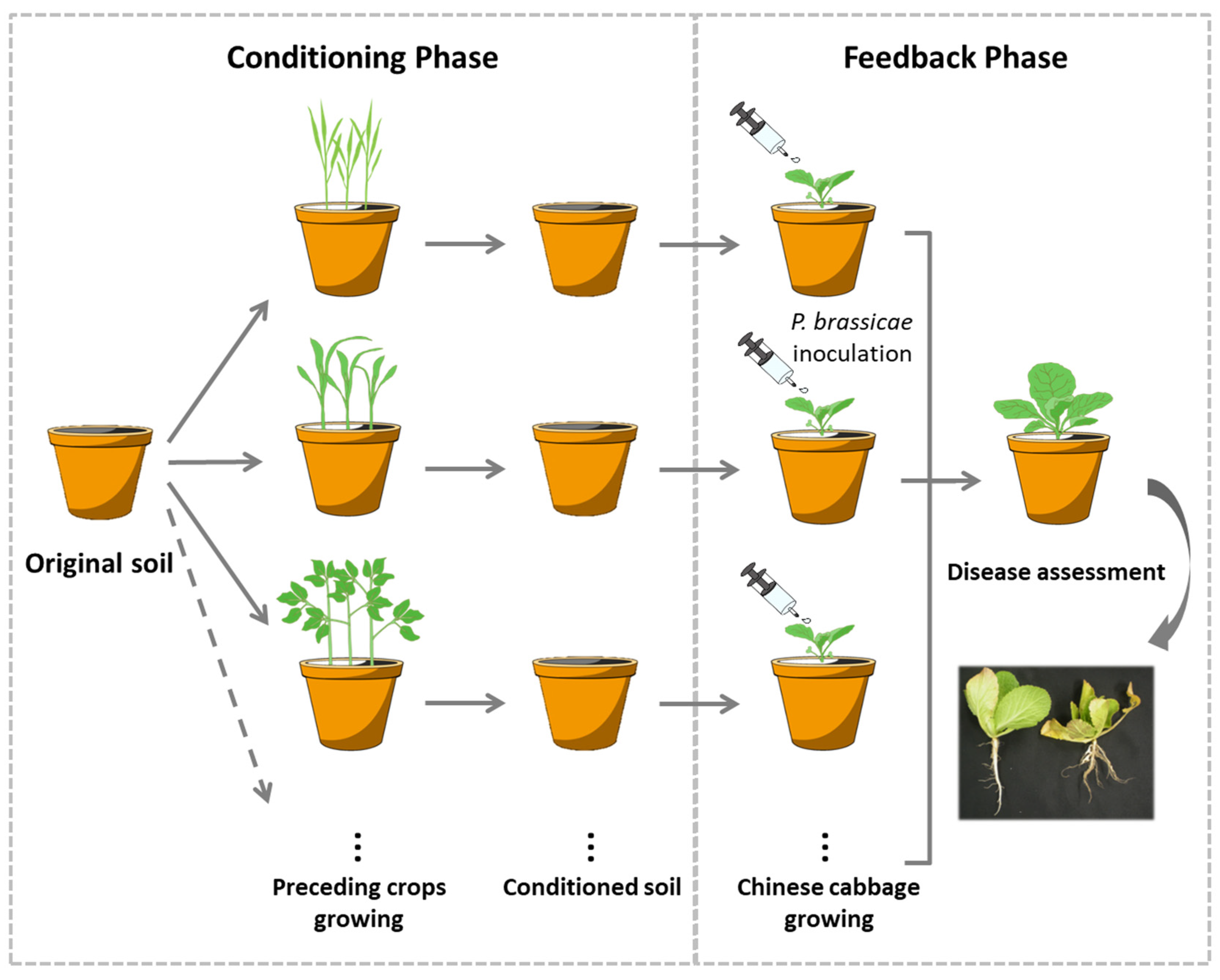 Microorganisms 12 02290 g001