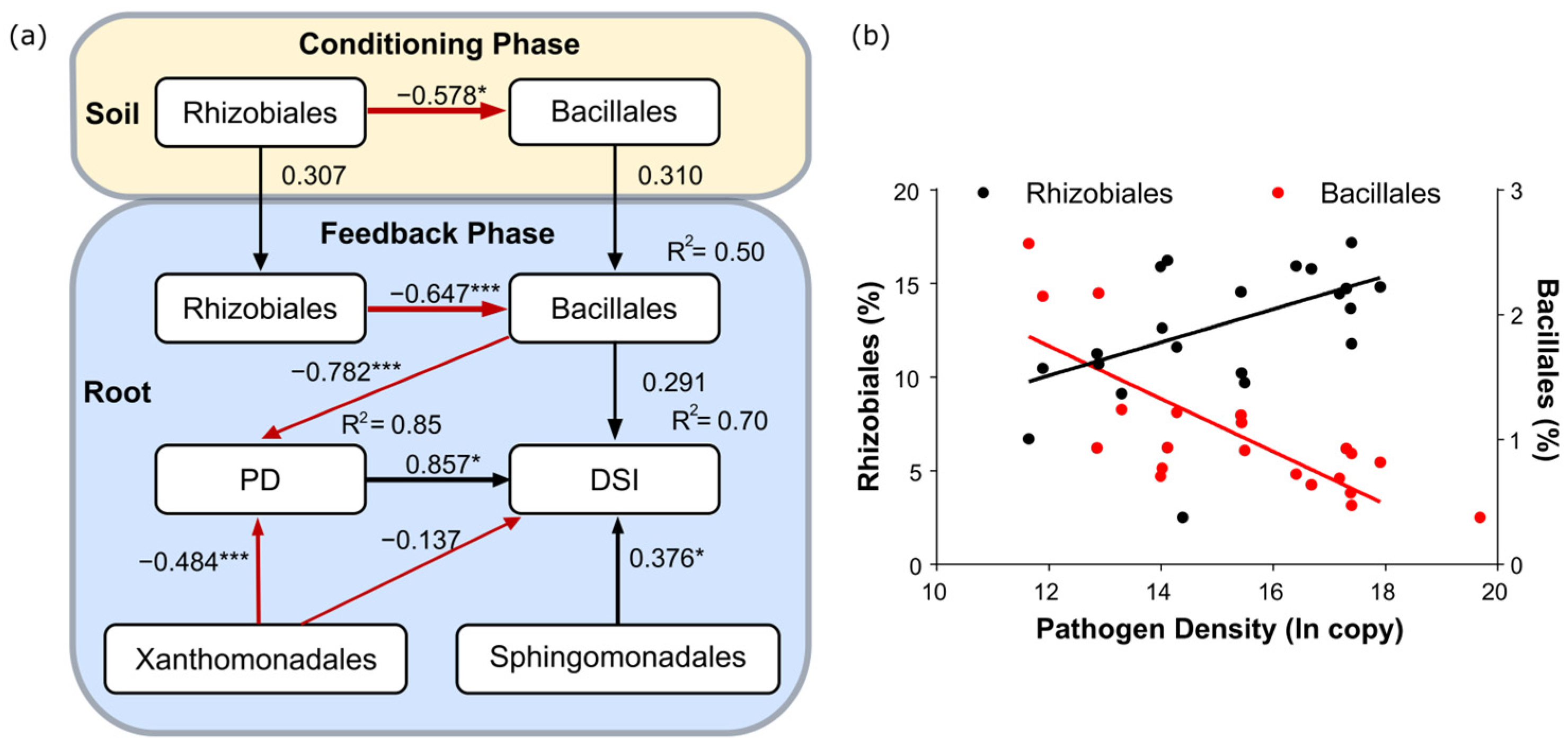Microorganisms 12 02290 g005