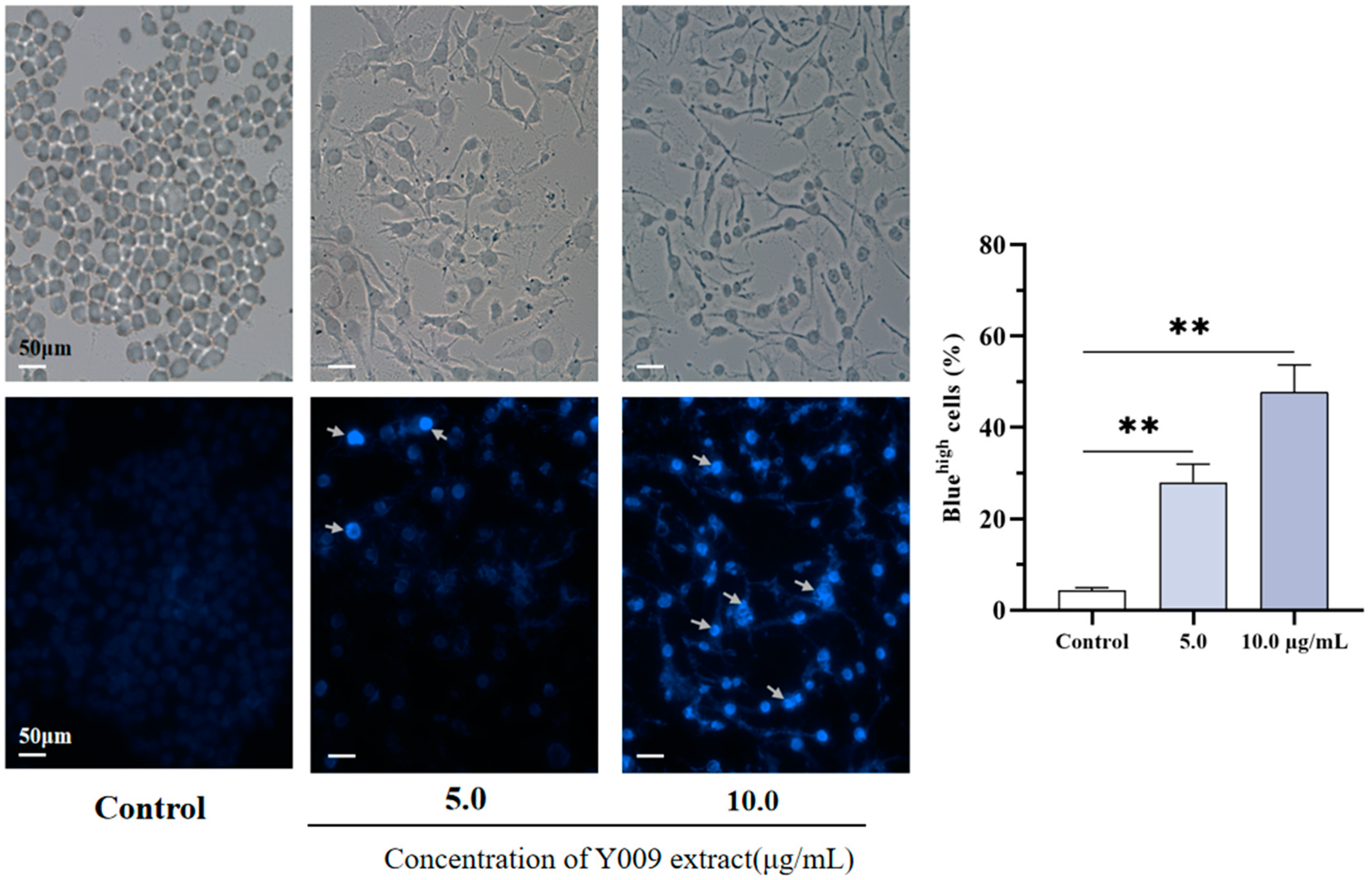 Microorganisms 12 02300 g004
