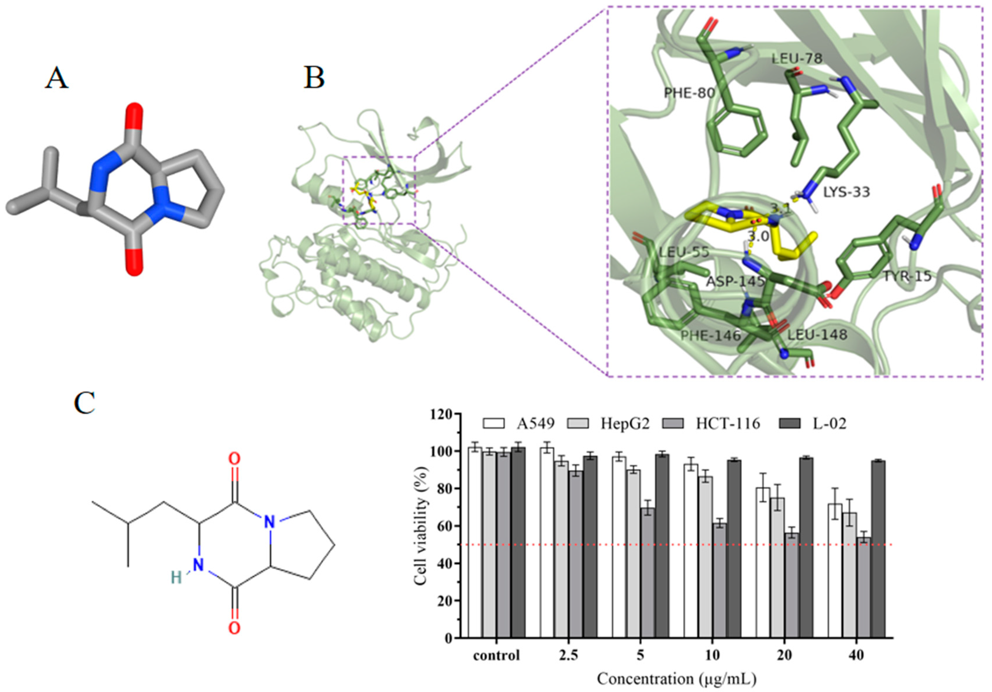 Characterization and Bioactive Metabolite Profiling of