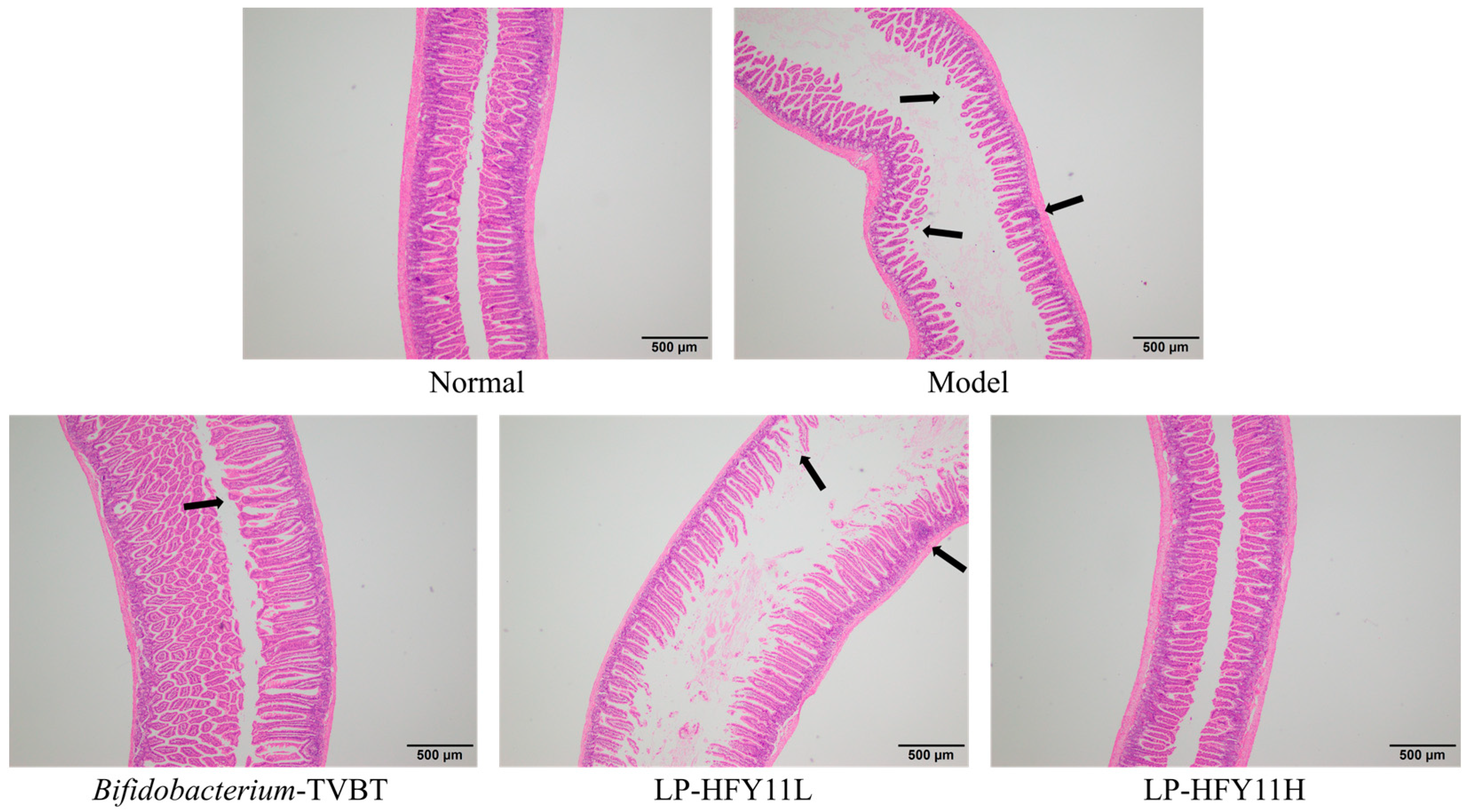 Microorganisms 12 02307 g004