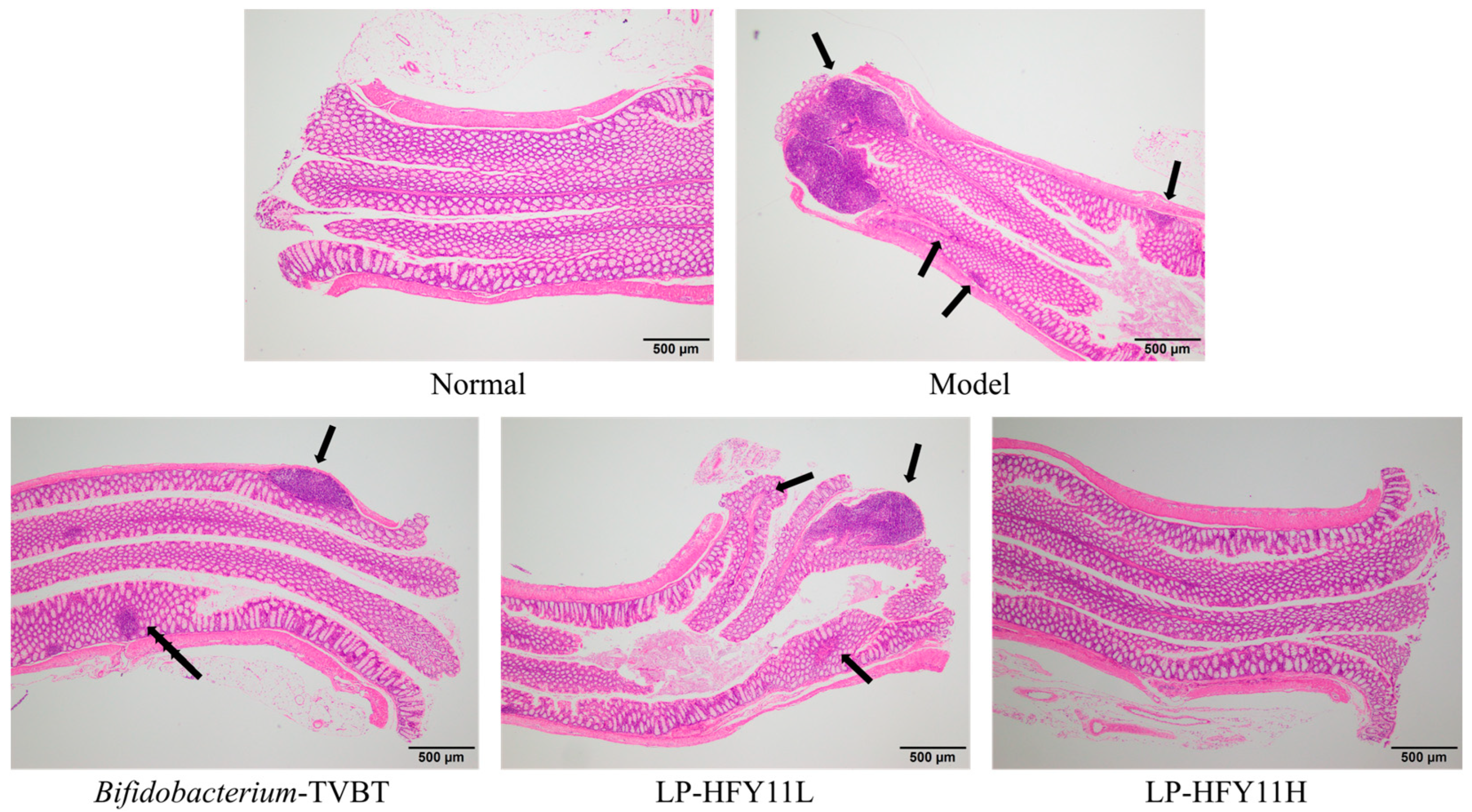 Microorganisms 12 02307 g005