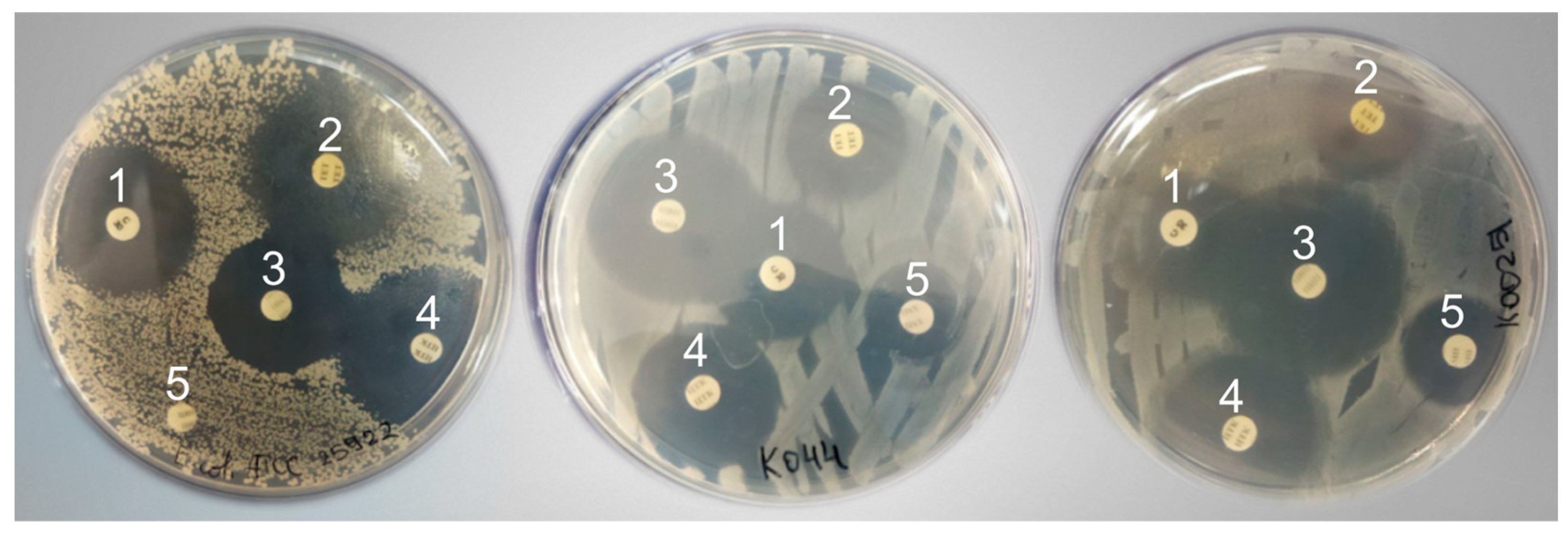 Microorganisms 12 02308 g005 Microorganisms 12 02308 g005