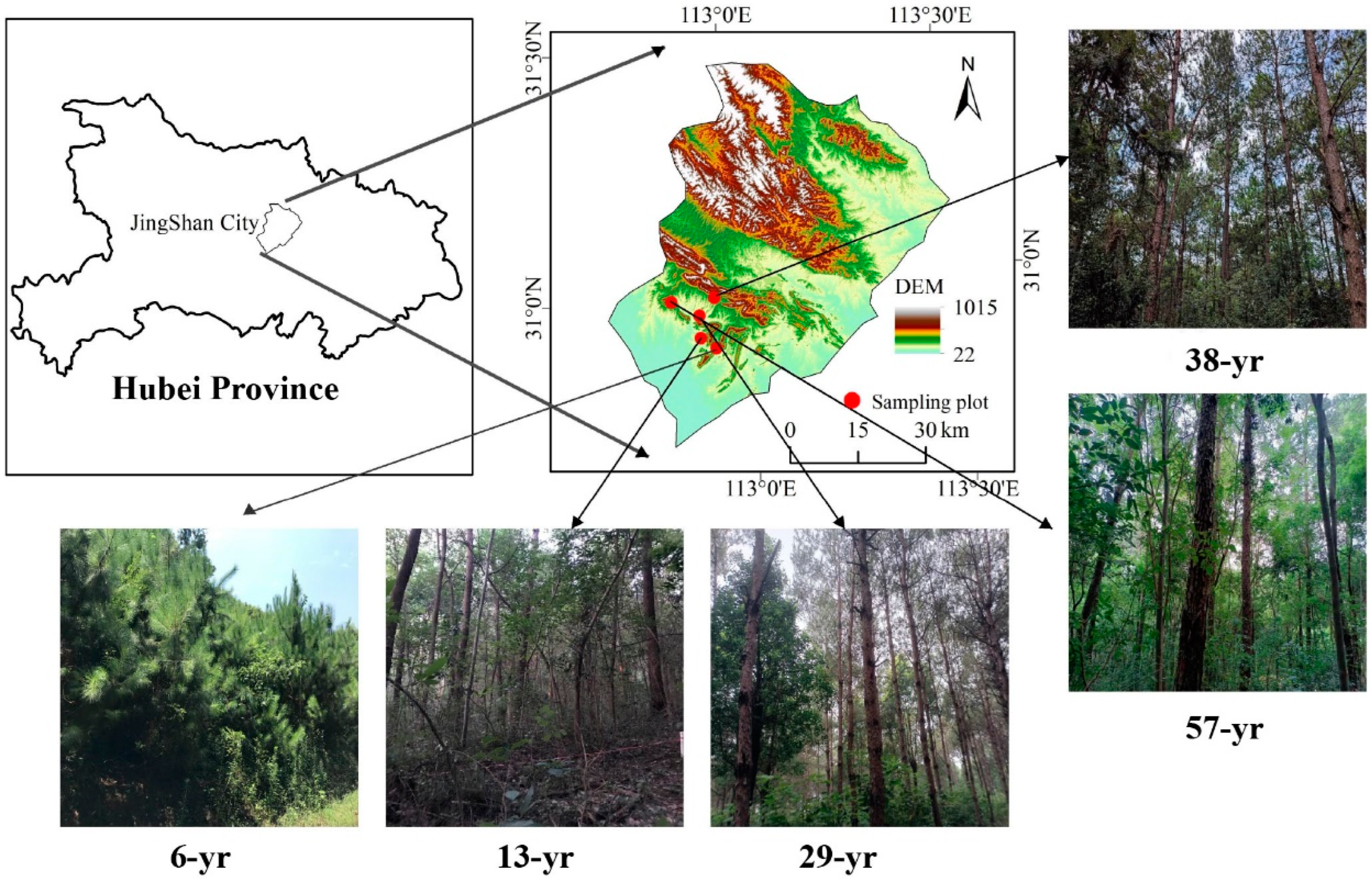 Microorganisms 12 02314 g001