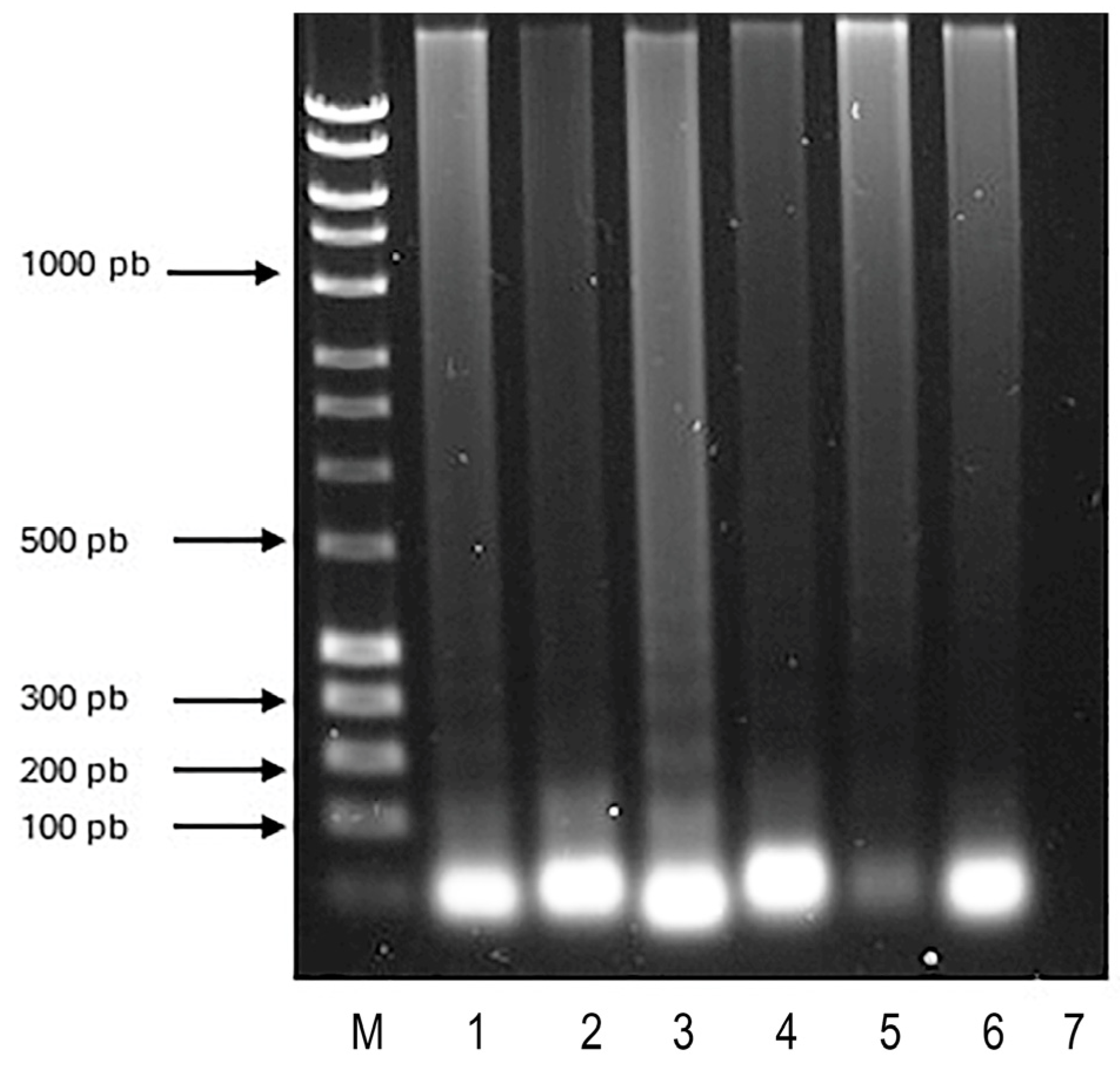 Microorganisms 12 02316 g001 Microorganisms 12 02316 g001