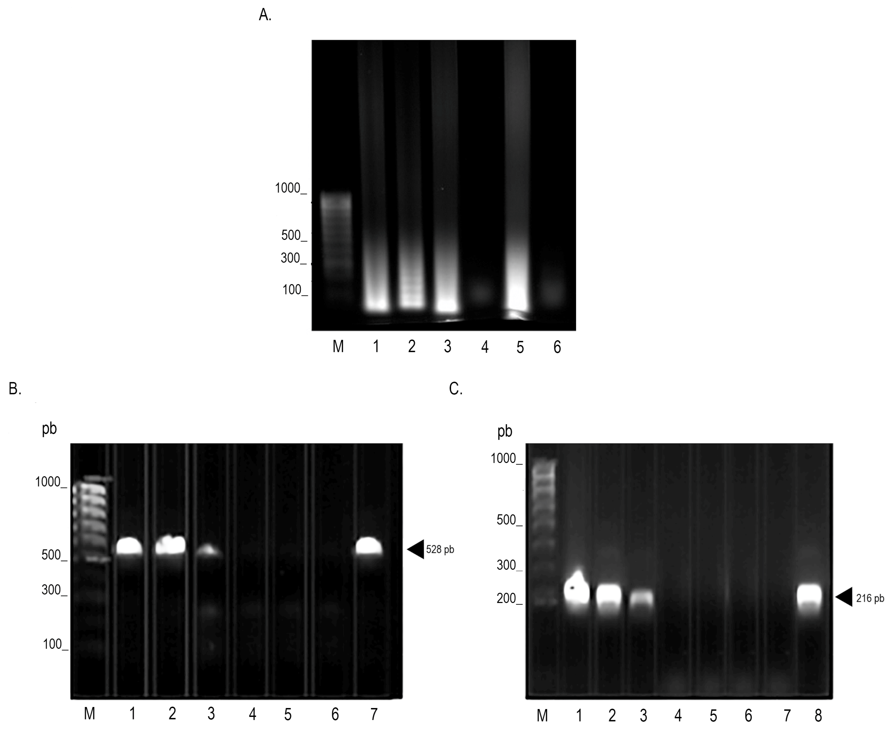 Microorganisms 12 02316 g002 Microorganisms 12 02316 g002