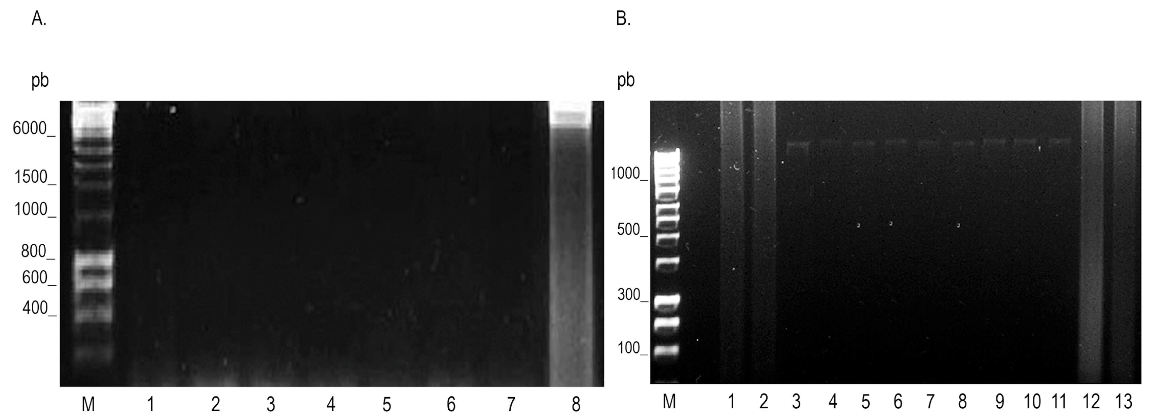 Microorganisms 12 02316 g003 Microorganisms 12 02316 g003