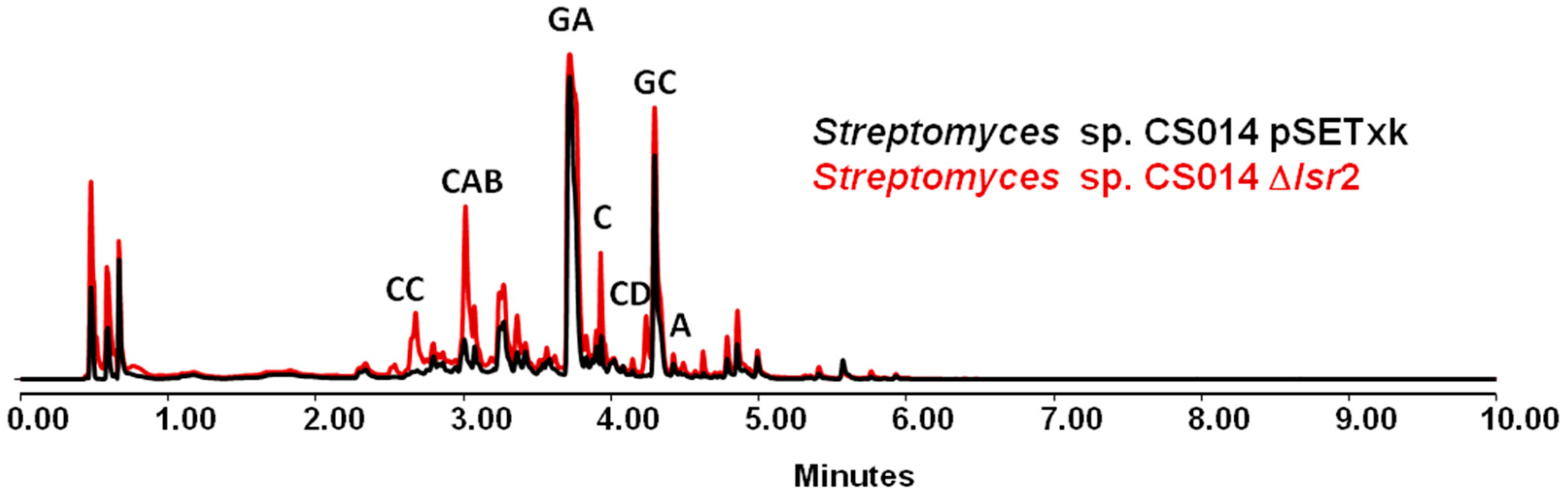 Microorganisms 12 02317 g001