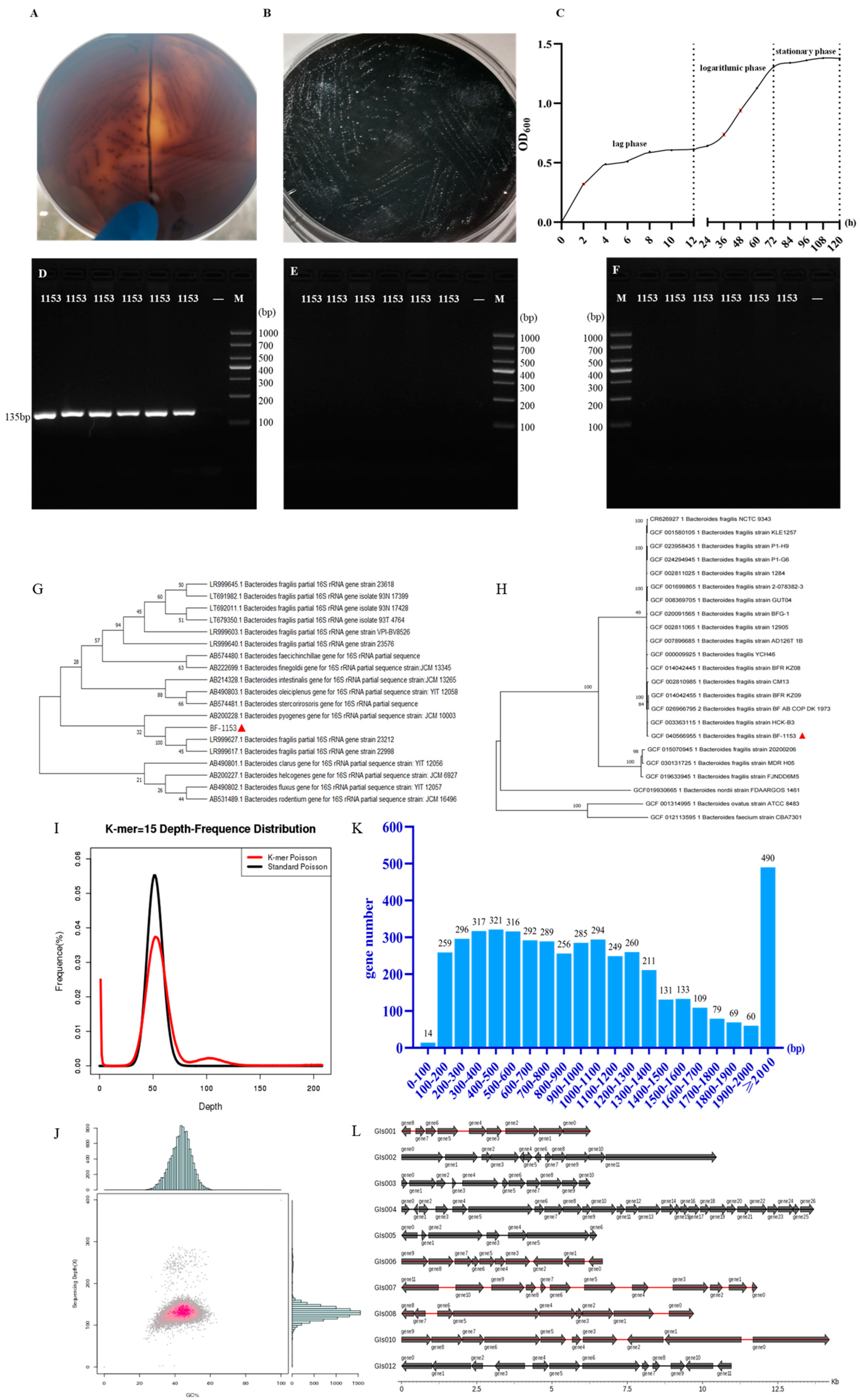 Microorganisms 12 02319 g002