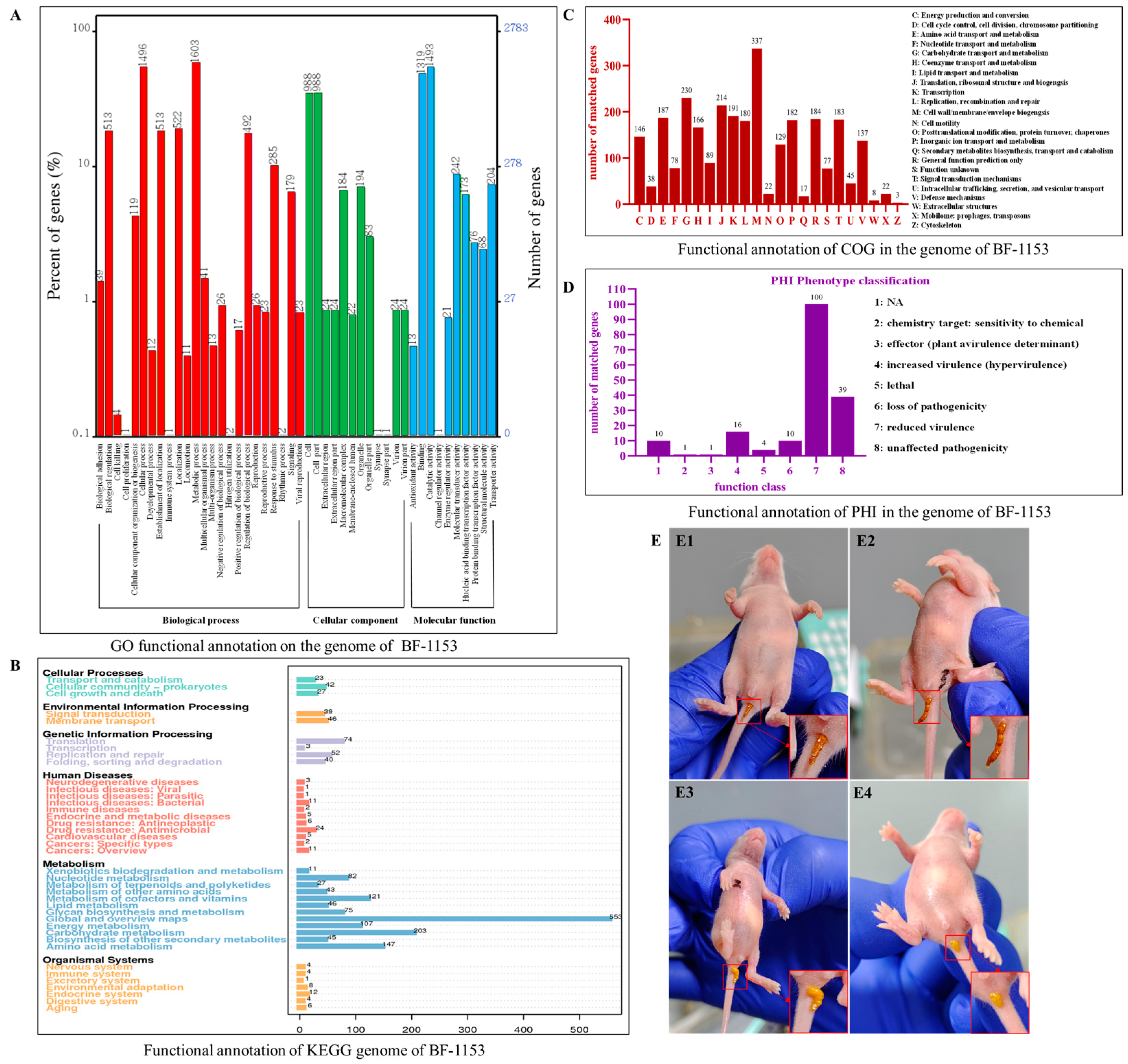 Microorganisms 12 02319 g003