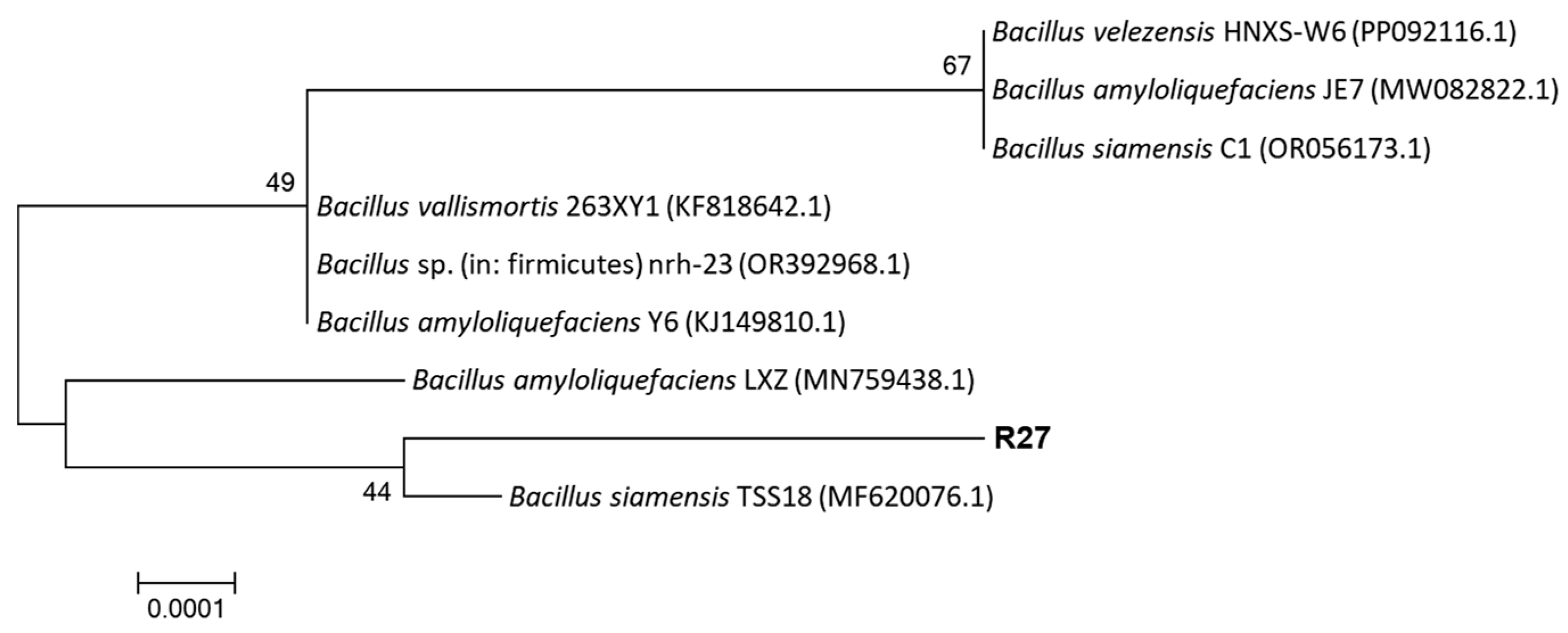 Microorganisms 12 02321 g001 Microorganisms 12 02321 g001